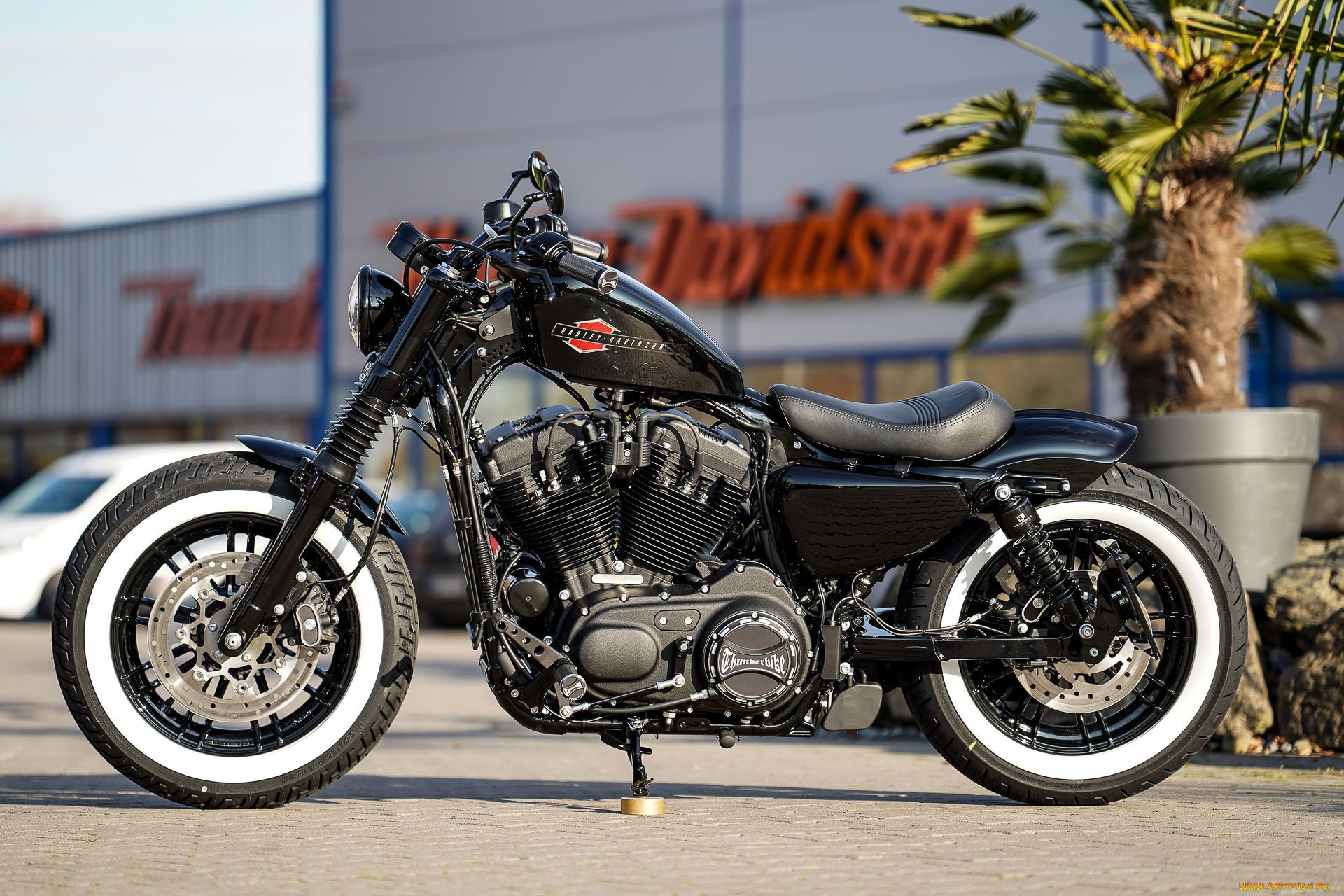 харлей, мотоциклы, harley-davidson, мотоцикл, байк, thunderbike, customs