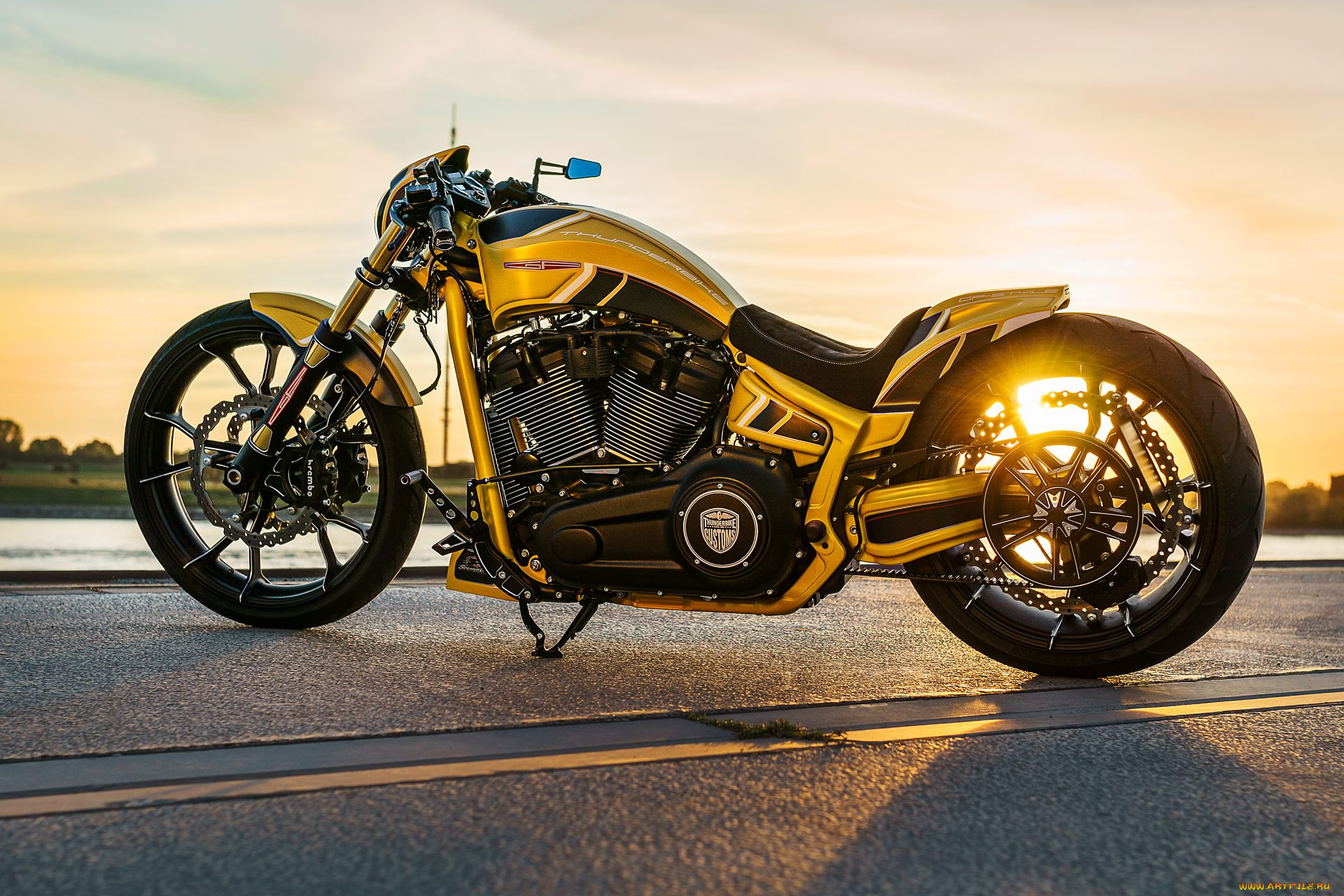 харлей, мотоциклы, harley-davidson, мотоцикл, байк, thunderbike, customs