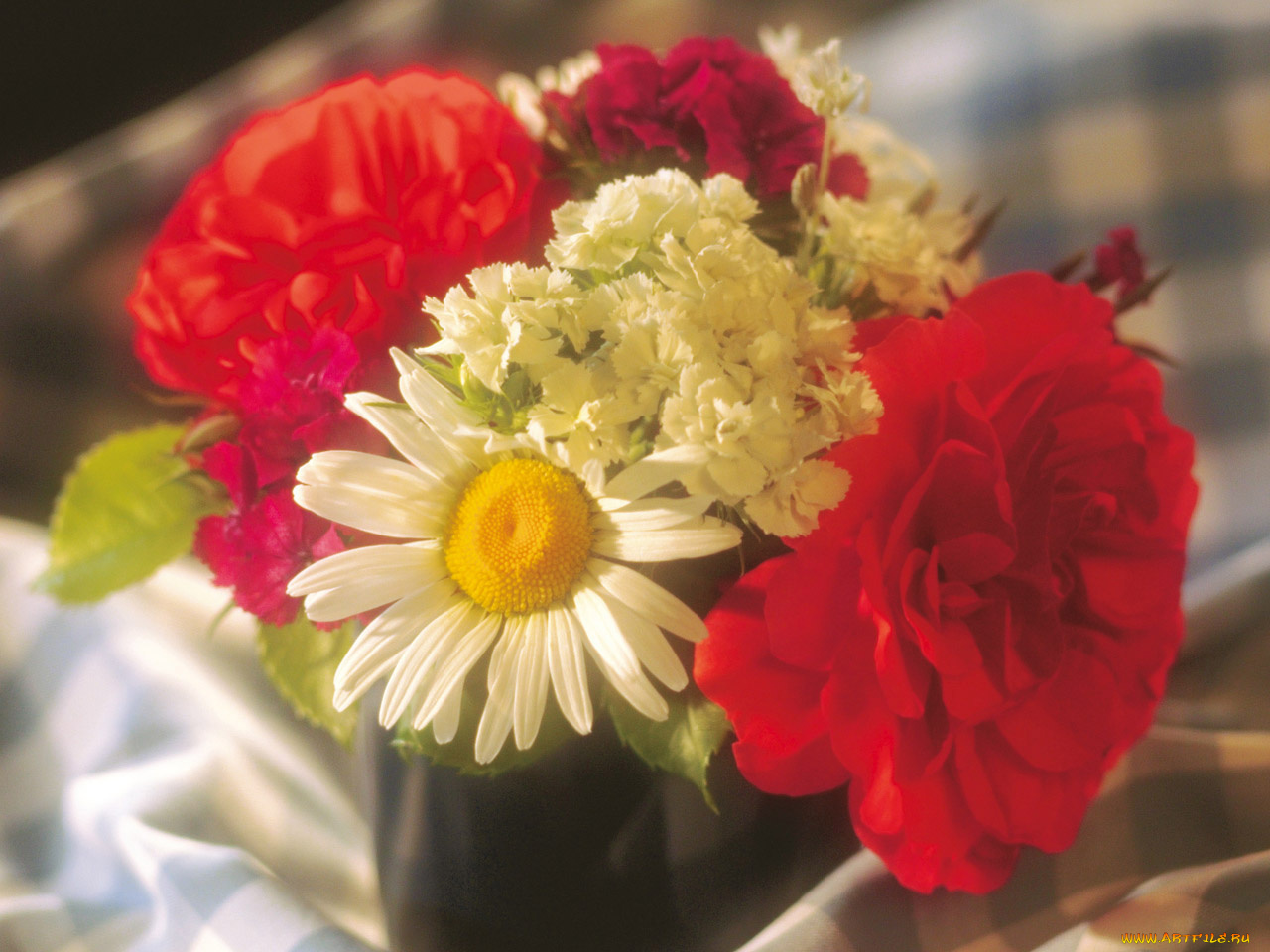 цветы, букеты, композиции