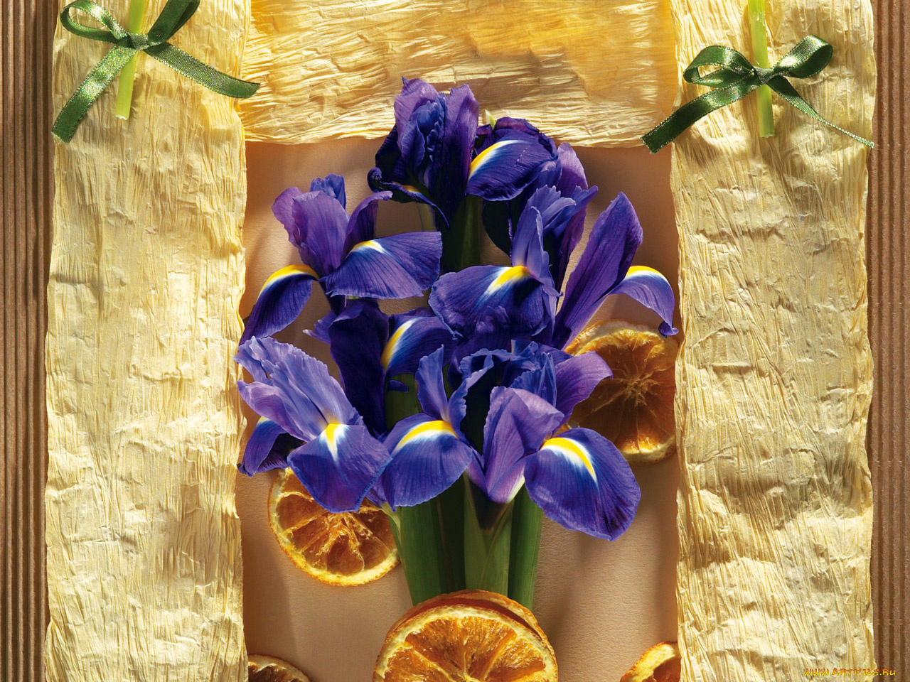 цветы, ирисы