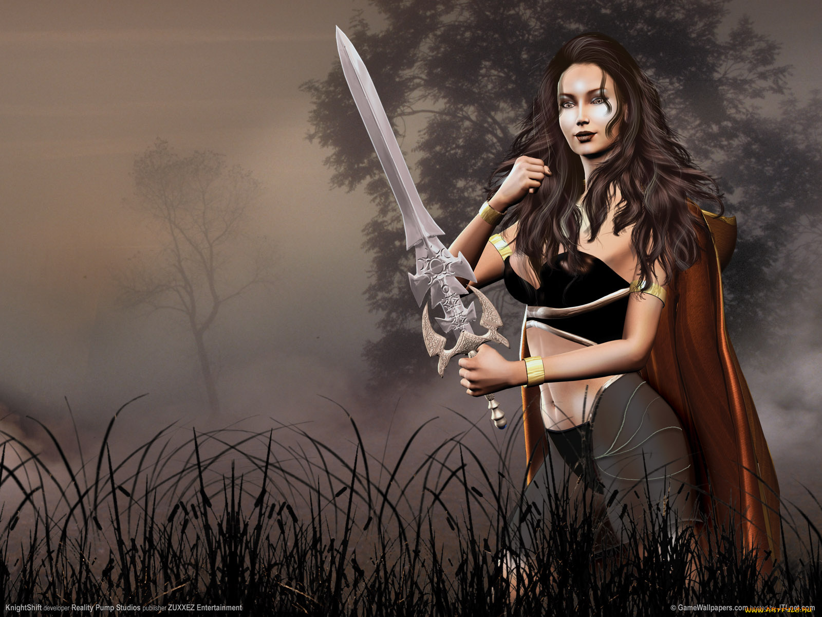 видео, игры, knightshift