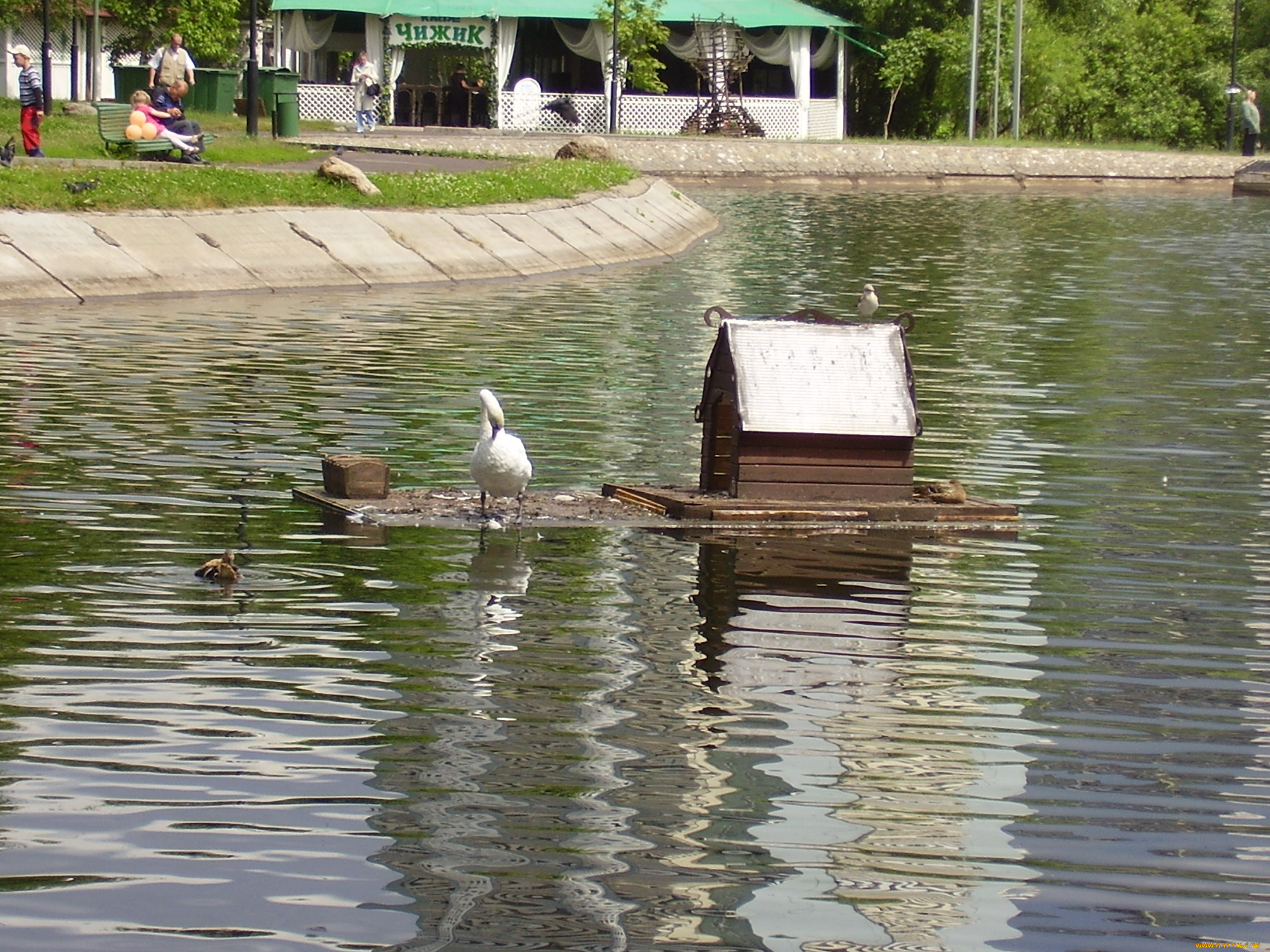 природа, парк