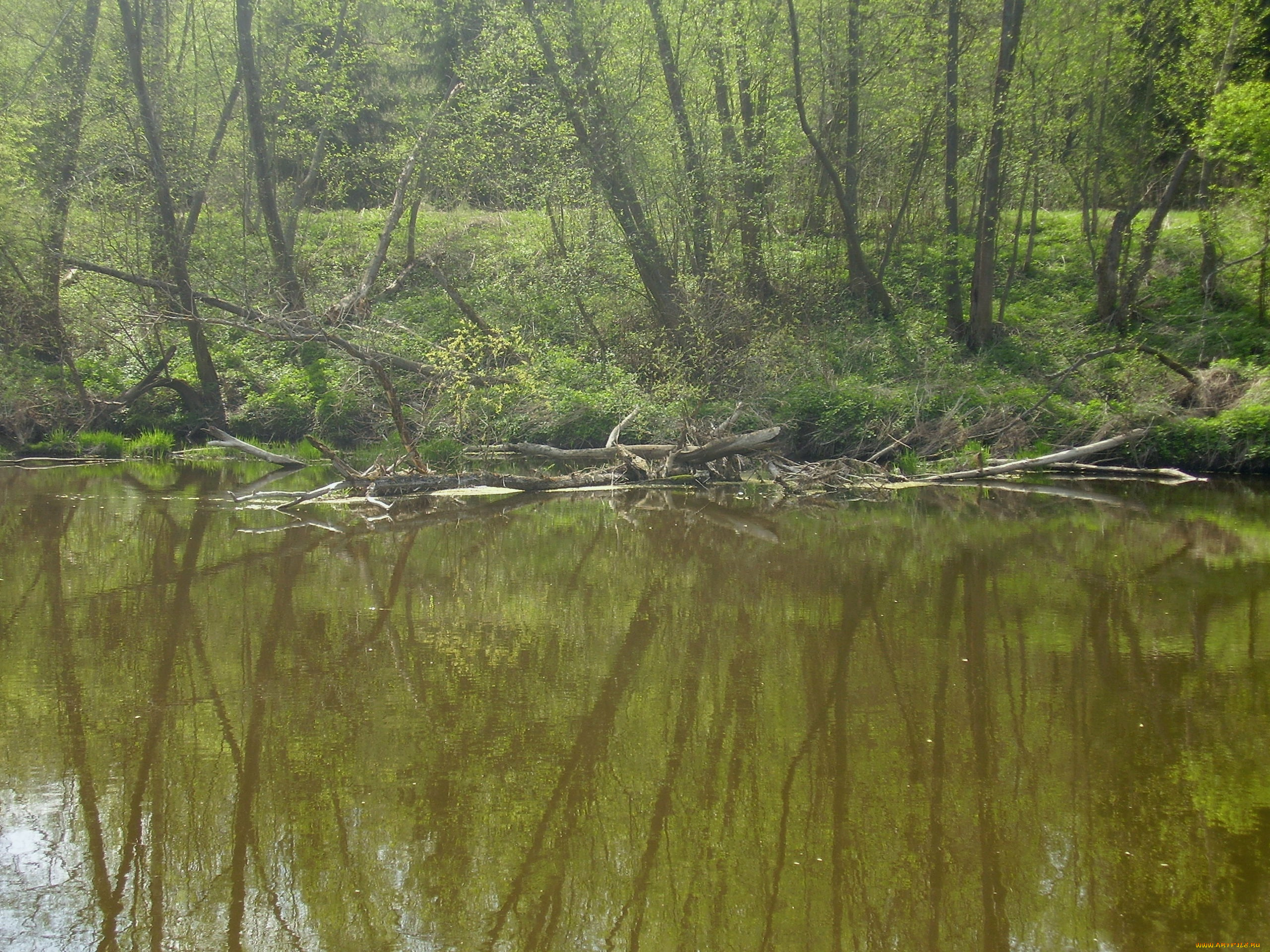 природа, реки, озера