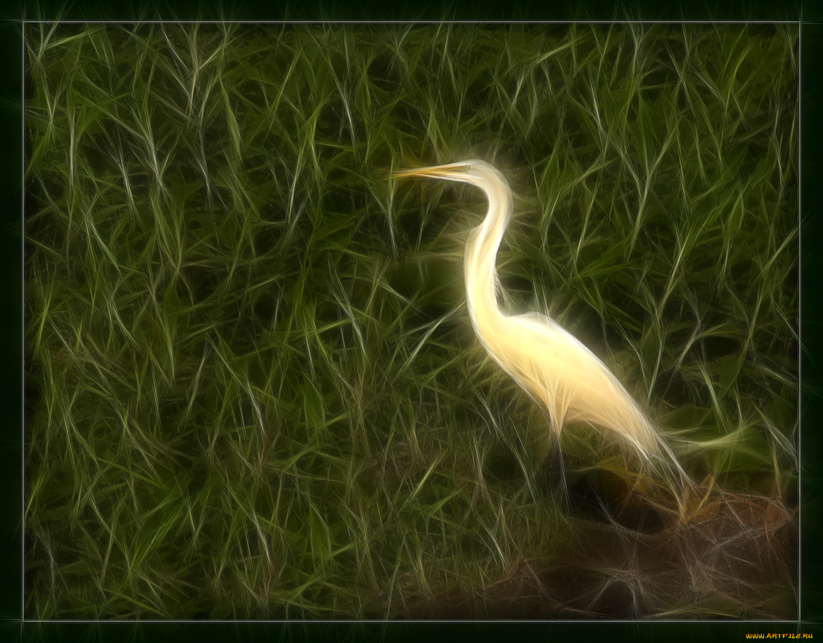 3д, графика, animals, животные, аист