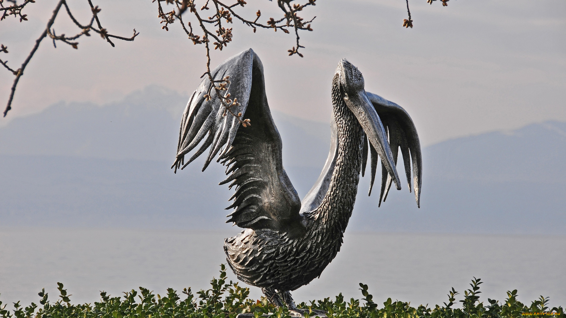 города, памятники, скульптуры, арт, объекты, пеликан, крылья, бронзовый