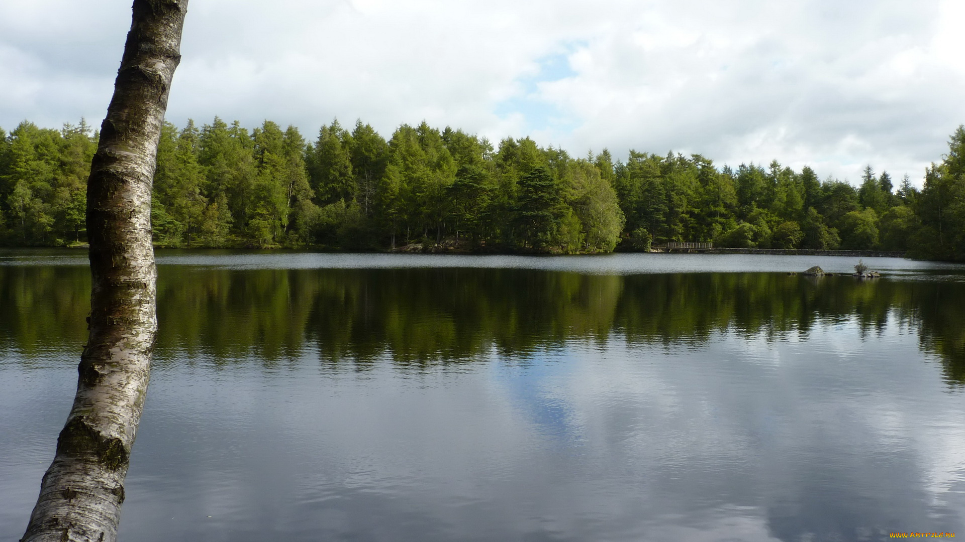 природа, реки, озера, вода