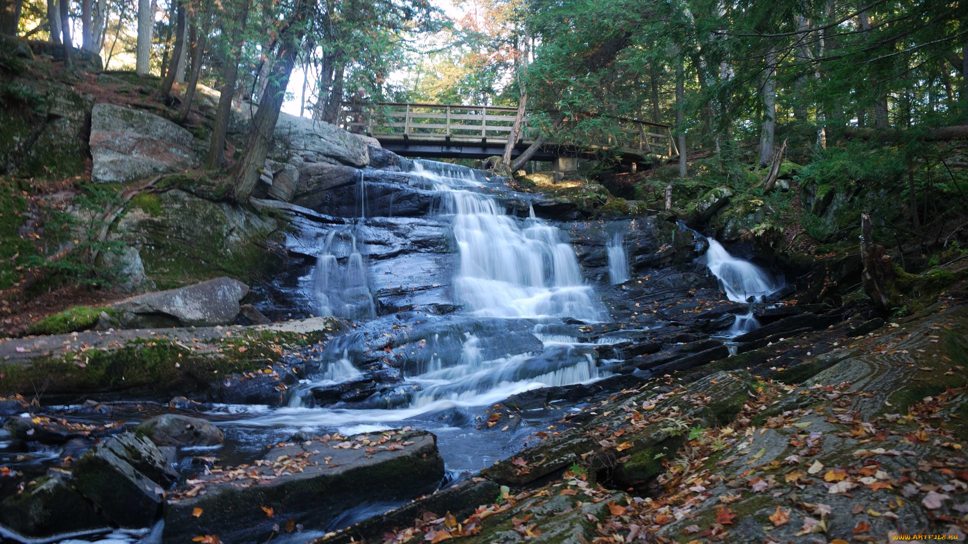 природа, водопады, осень, листья, мост
