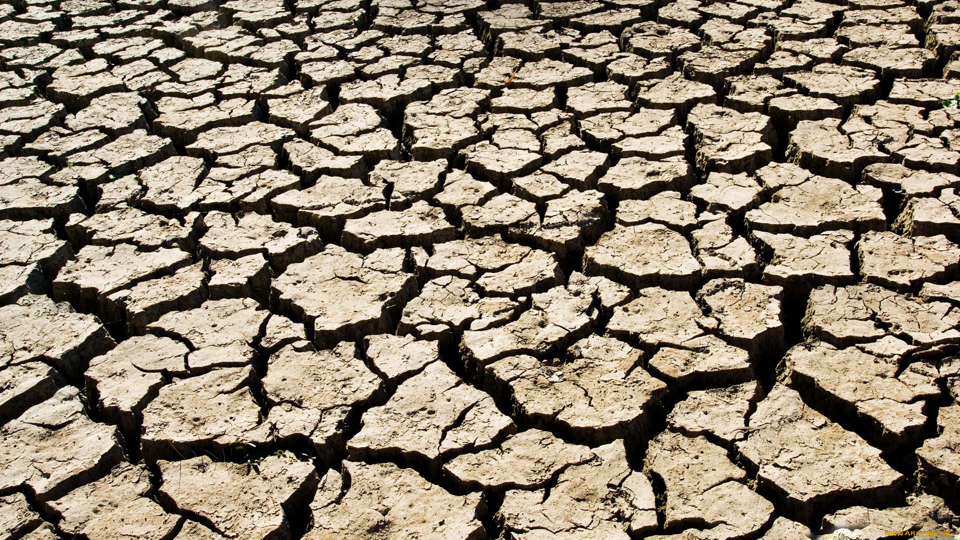разное, текстуры, земля, трещины
