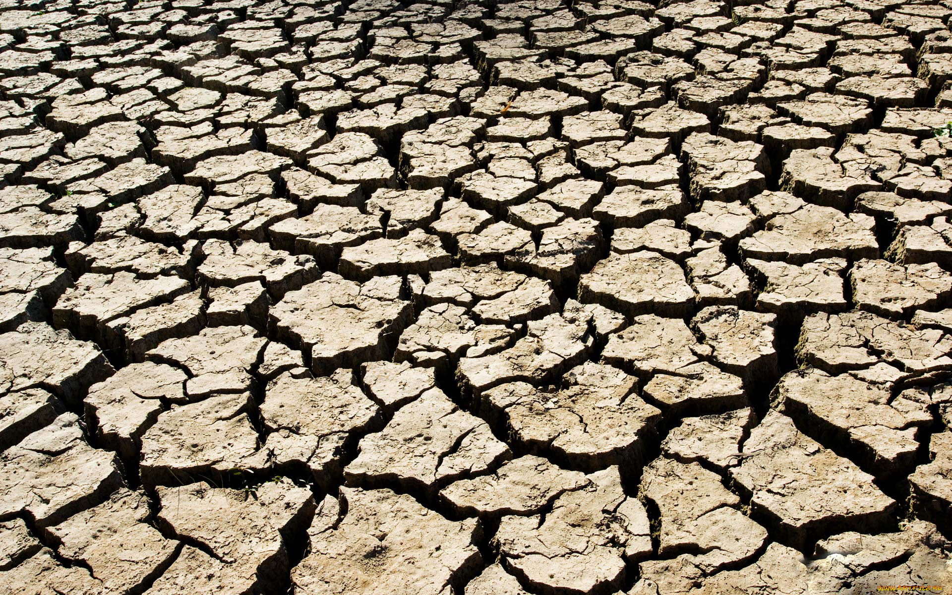 разное, текстуры, земля, трещины
