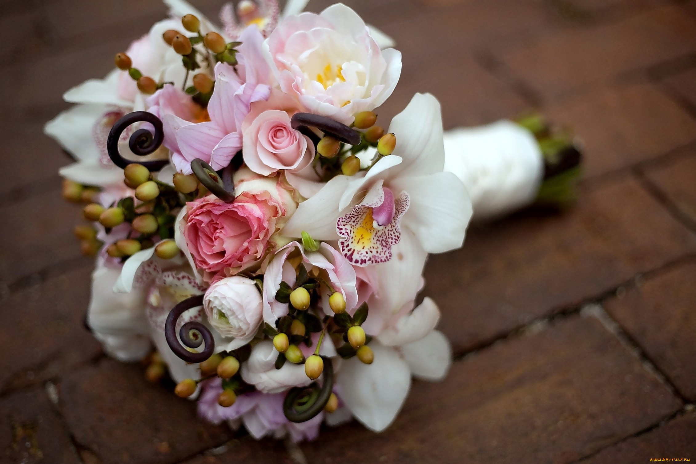 цветы, букеты, композиции, орхидеи, розы, свадебный, букет