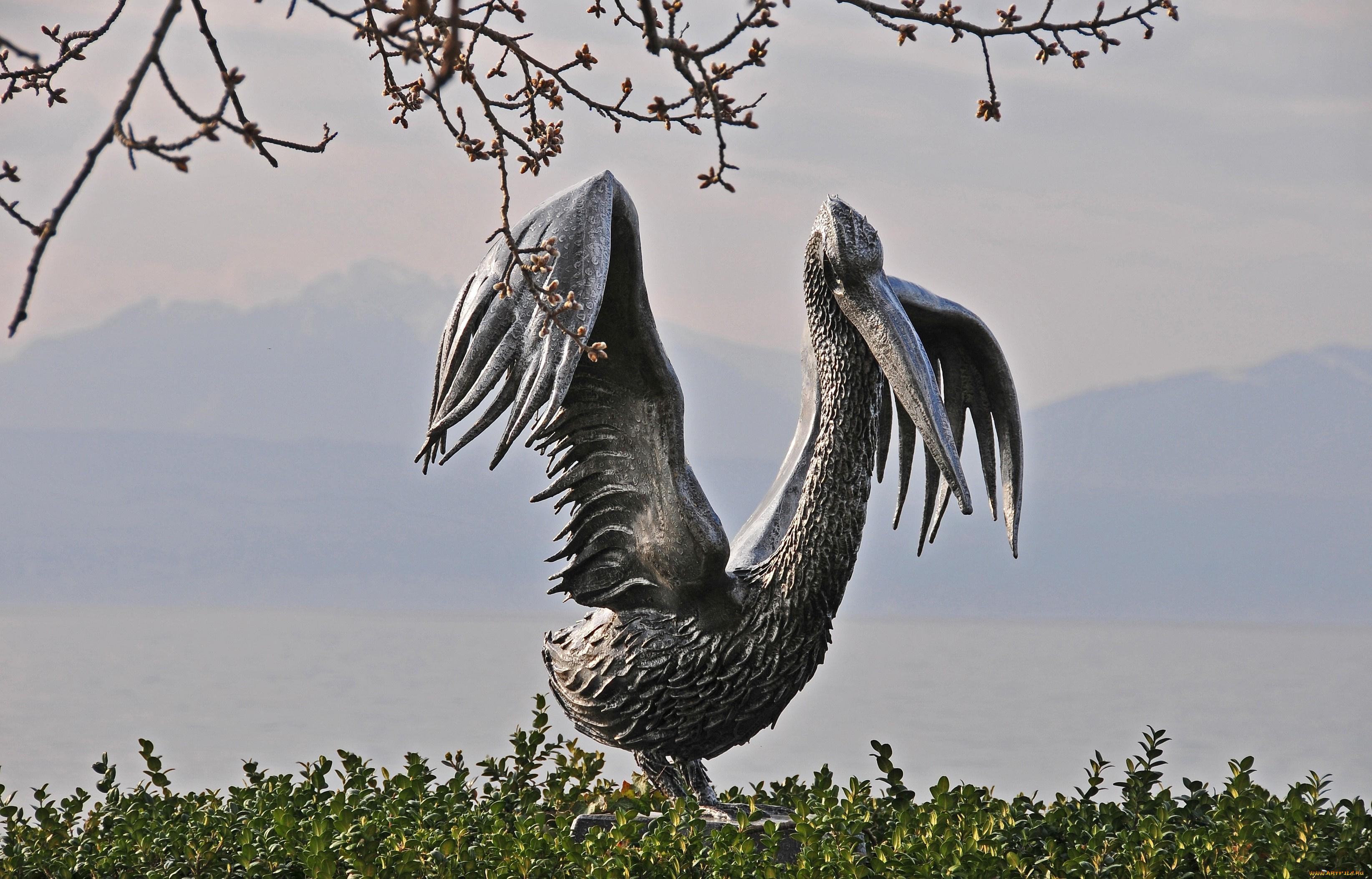 города, памятники, скульптуры, арт, объекты, пеликан, крылья, бронзовый