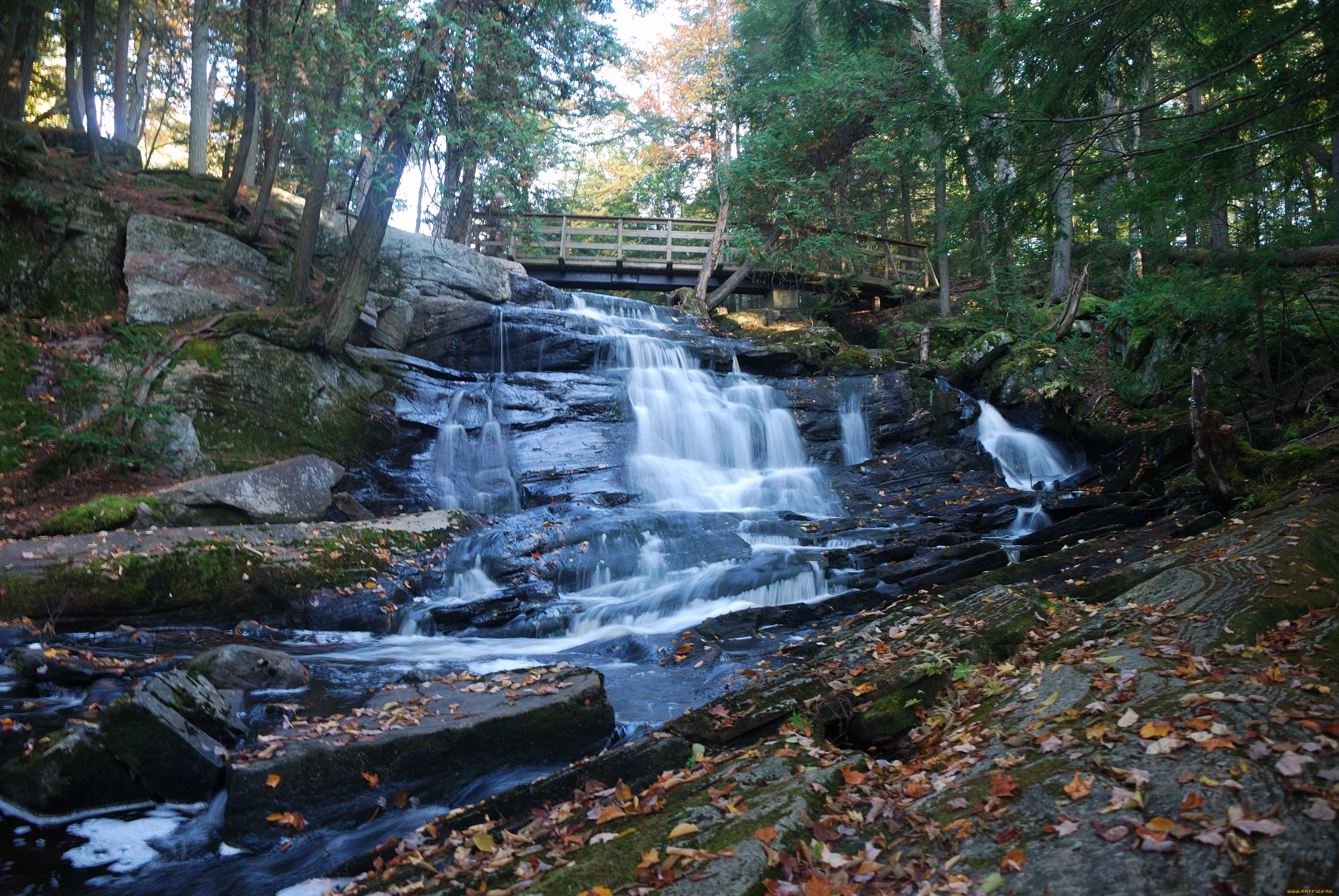 природа, водопады, осень, листья, мост