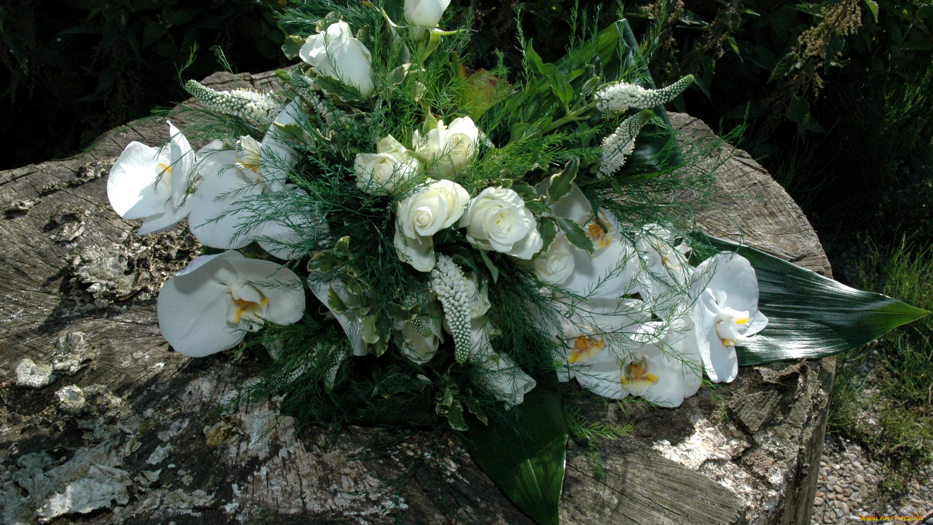 цветы, букеты, композиции, калии, розы, букет