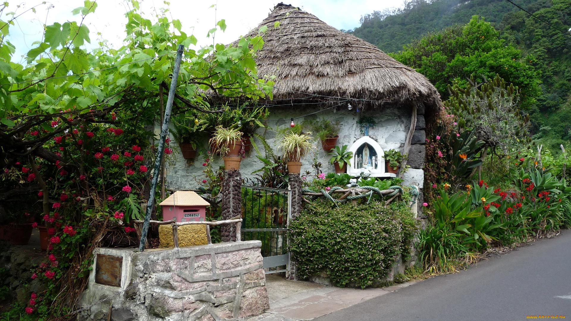 португалия, madeira, santana, разное, сооружения, постройки, дом, сад, остров