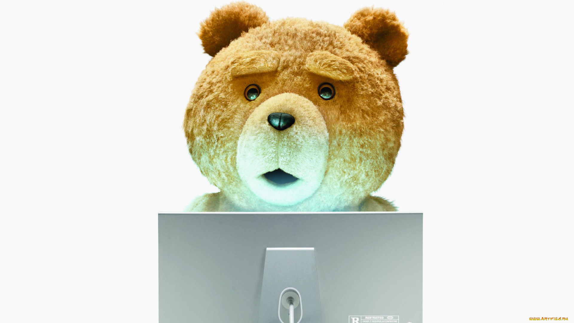 третий, лишний, 2012, кино, фильмы, ted, белый, фон, ноутбук, медведь