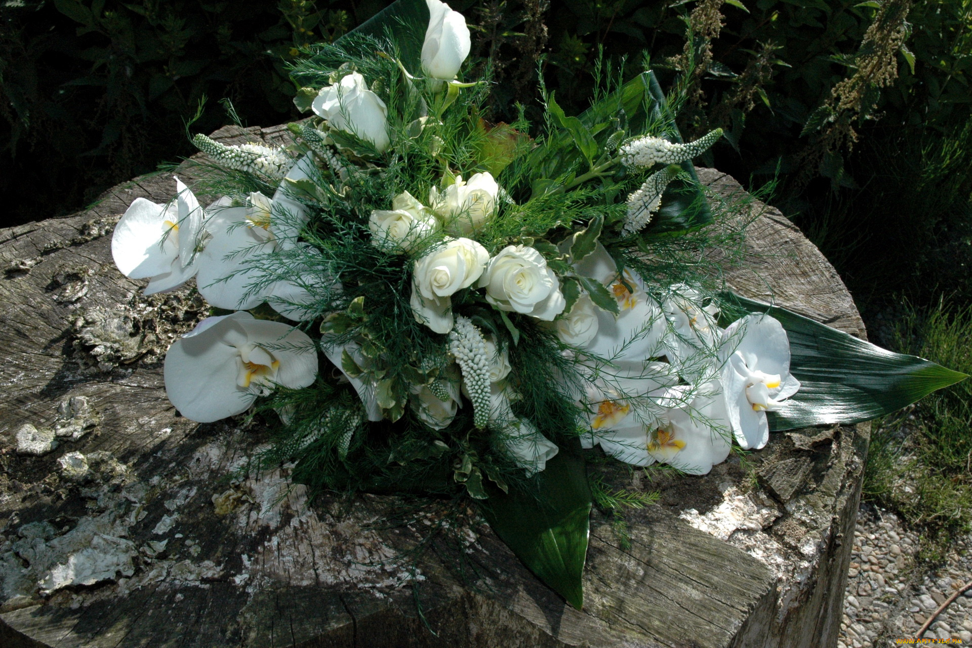 цветы, букеты, композиции, калии, розы, букет