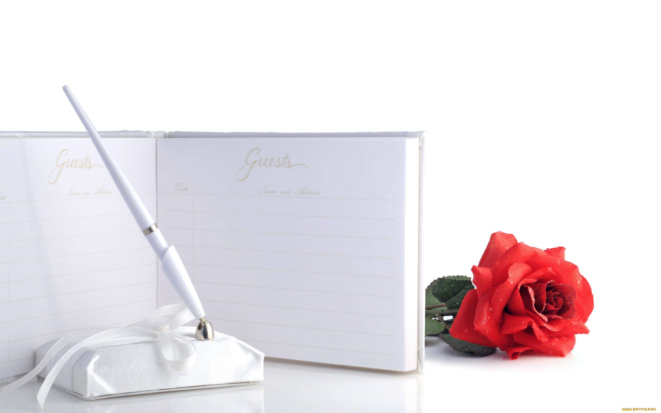 цветы, розы