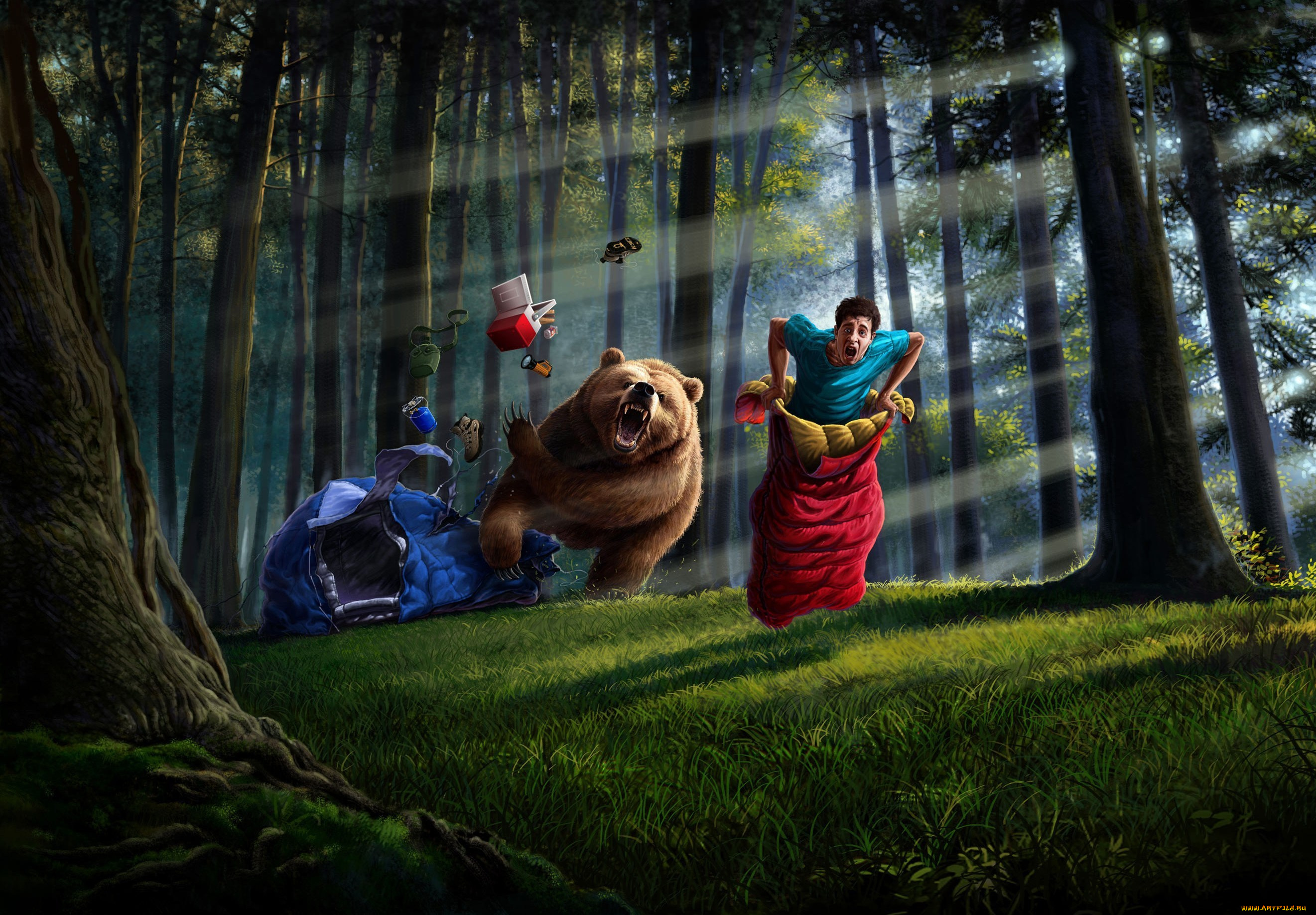 юмор, приколы, парень, лес, медведь, палатка, спальный, мешок, ситуация