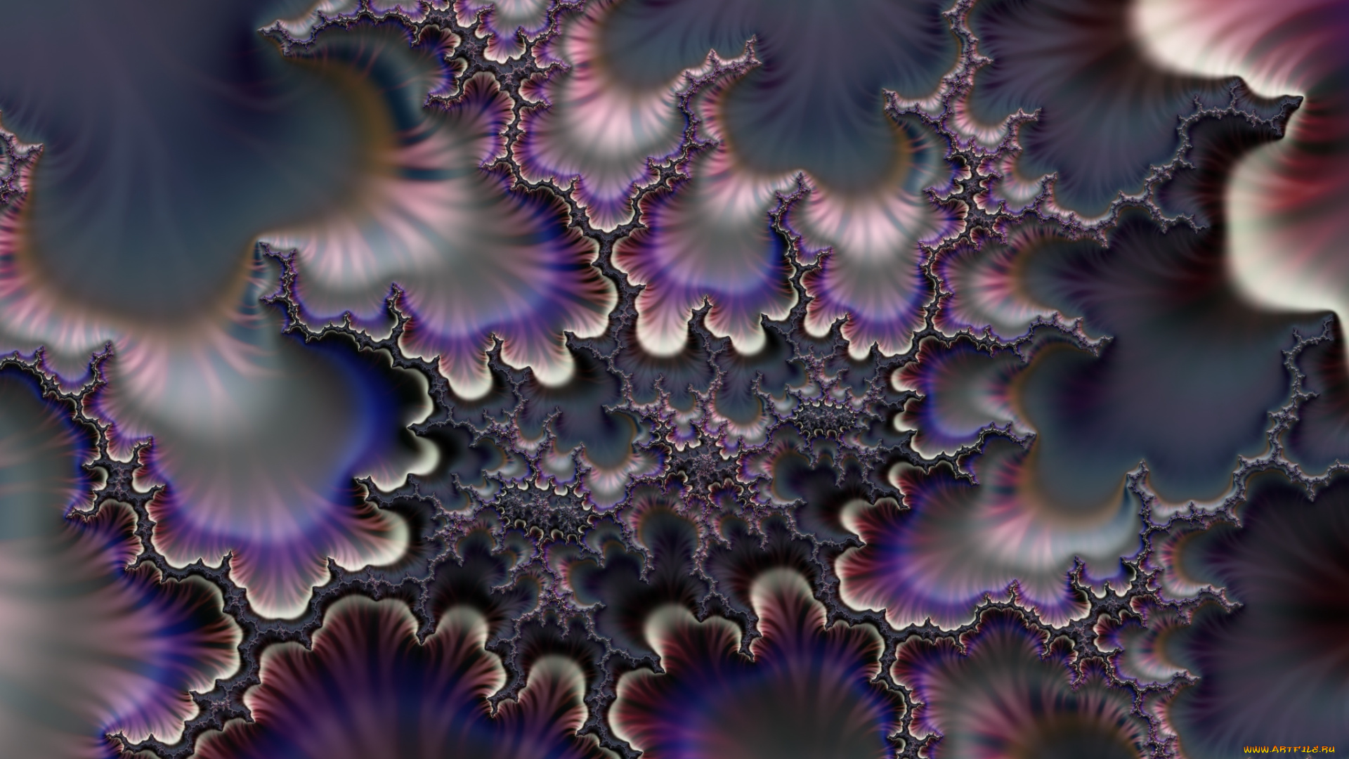 3д, графика, fractal, фракталы, цвета, фон, узор