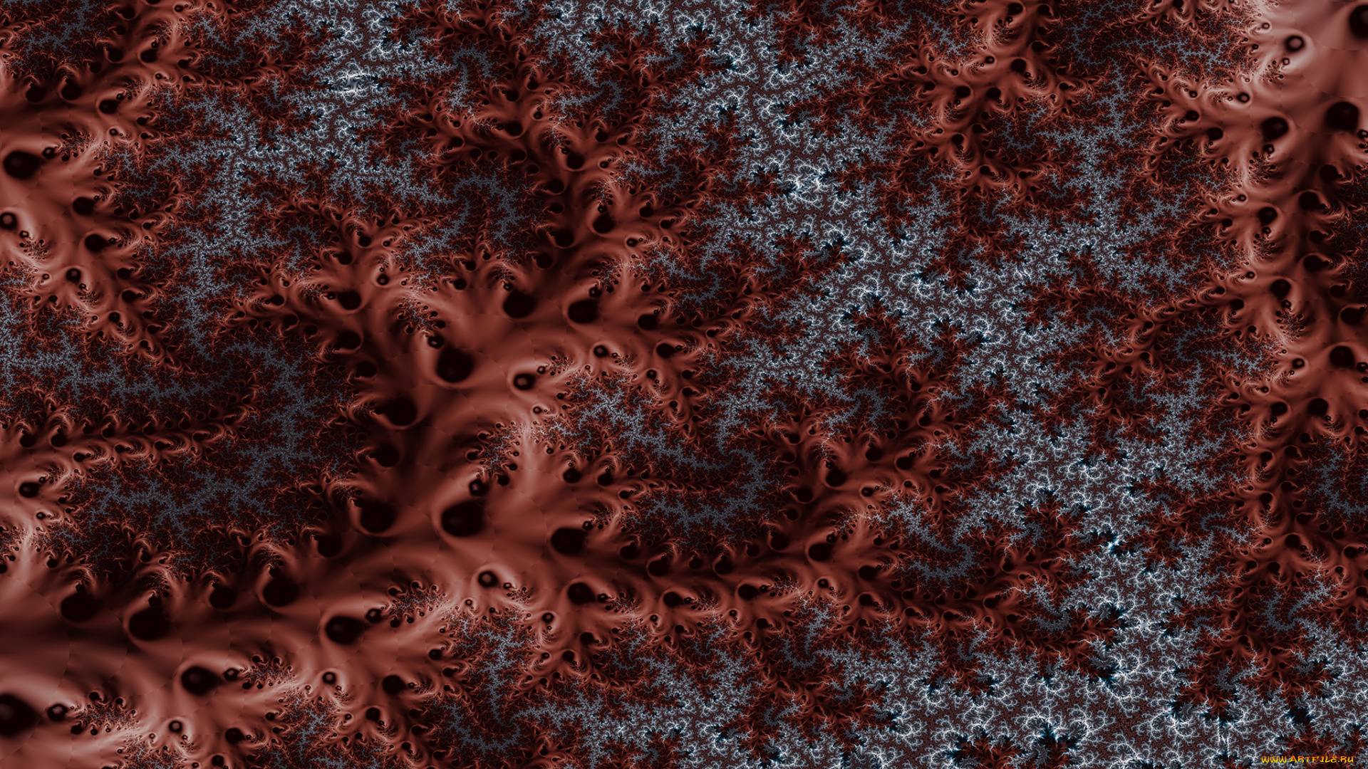 3д, графика, fractal, фракталы, цвета, узор, фон