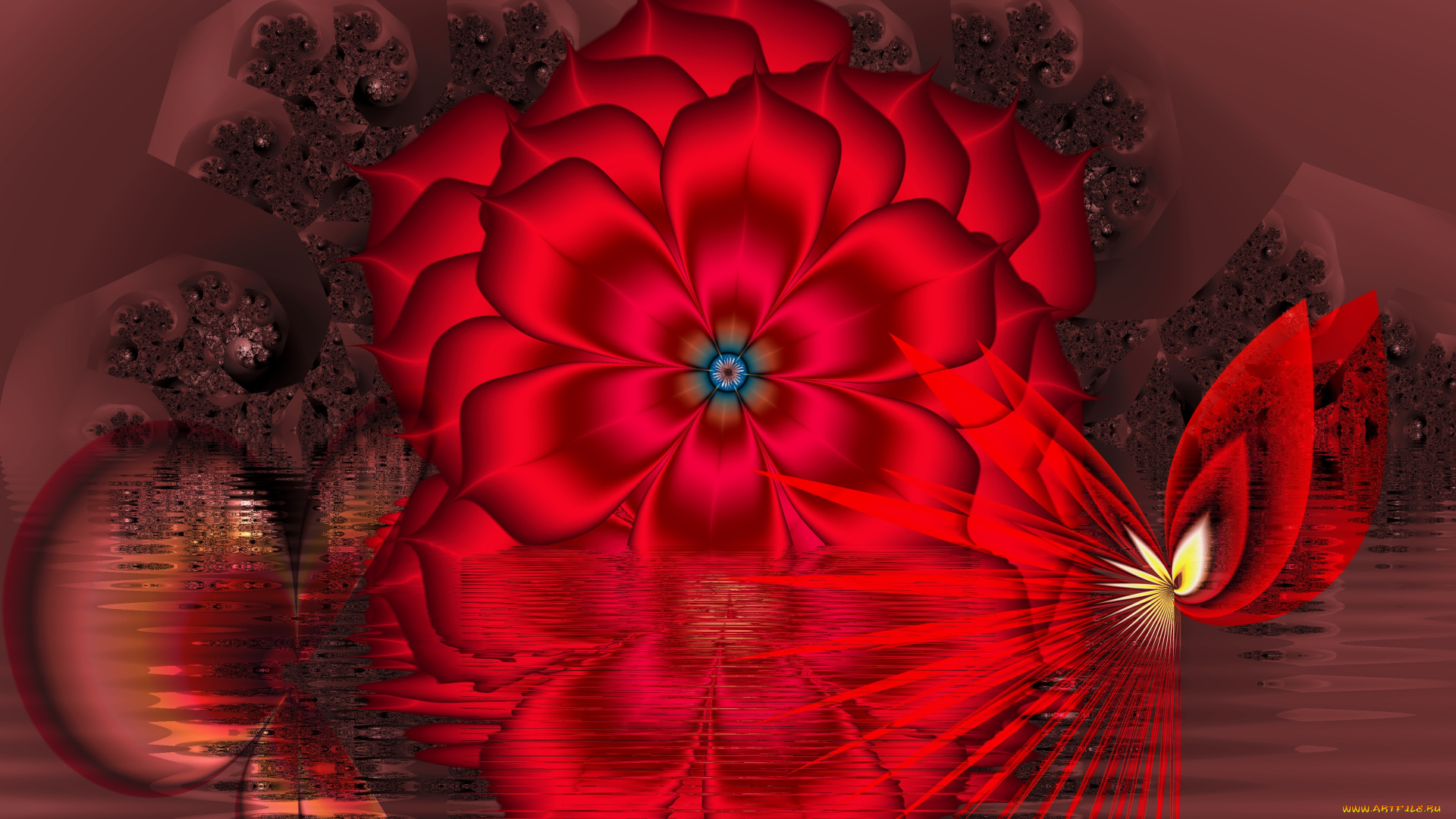 3д, графика, fractal, фракталы, фон, цвета, узор