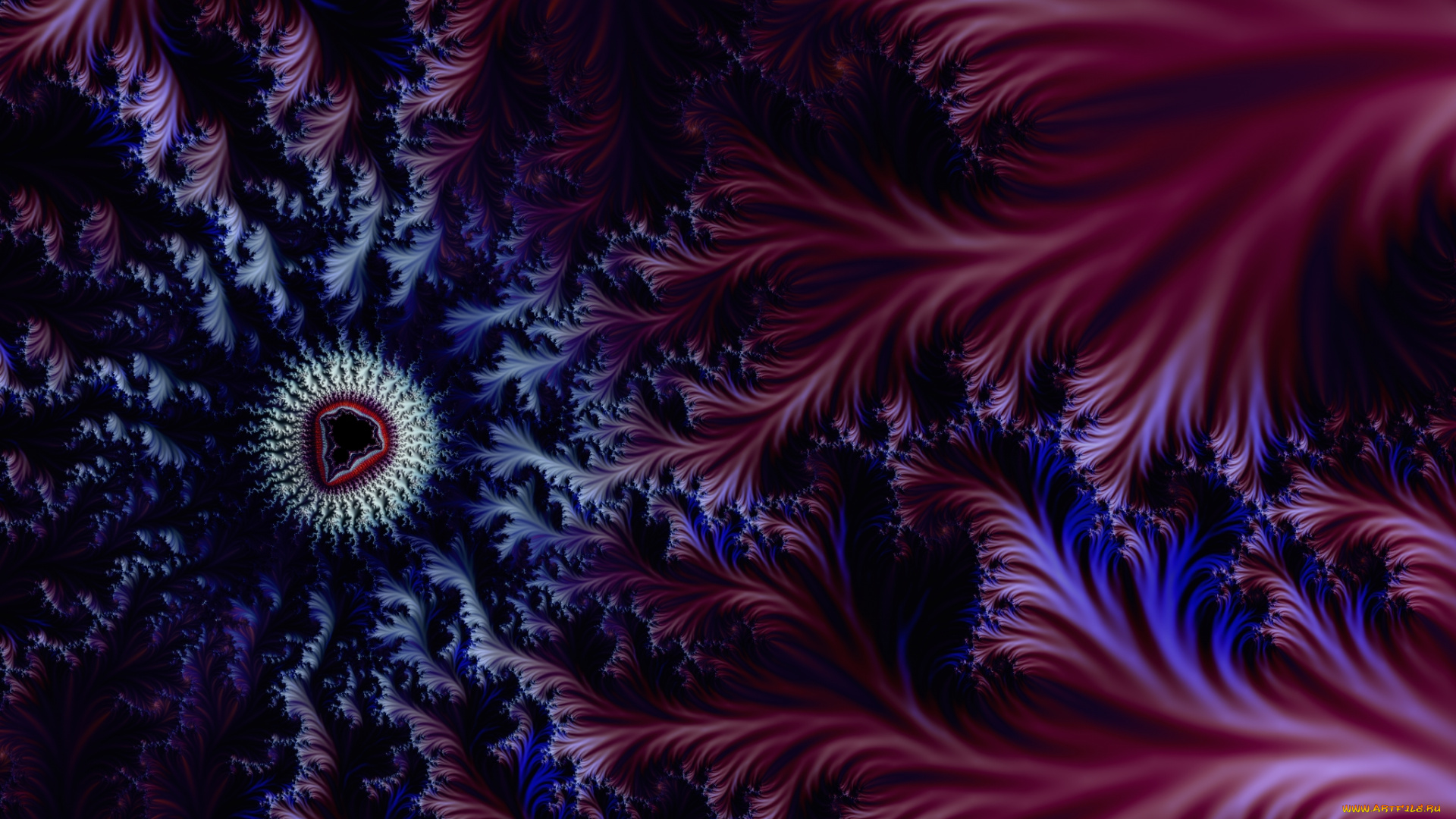 3д, графика, fractal, фракталы, фон, узор, цвета