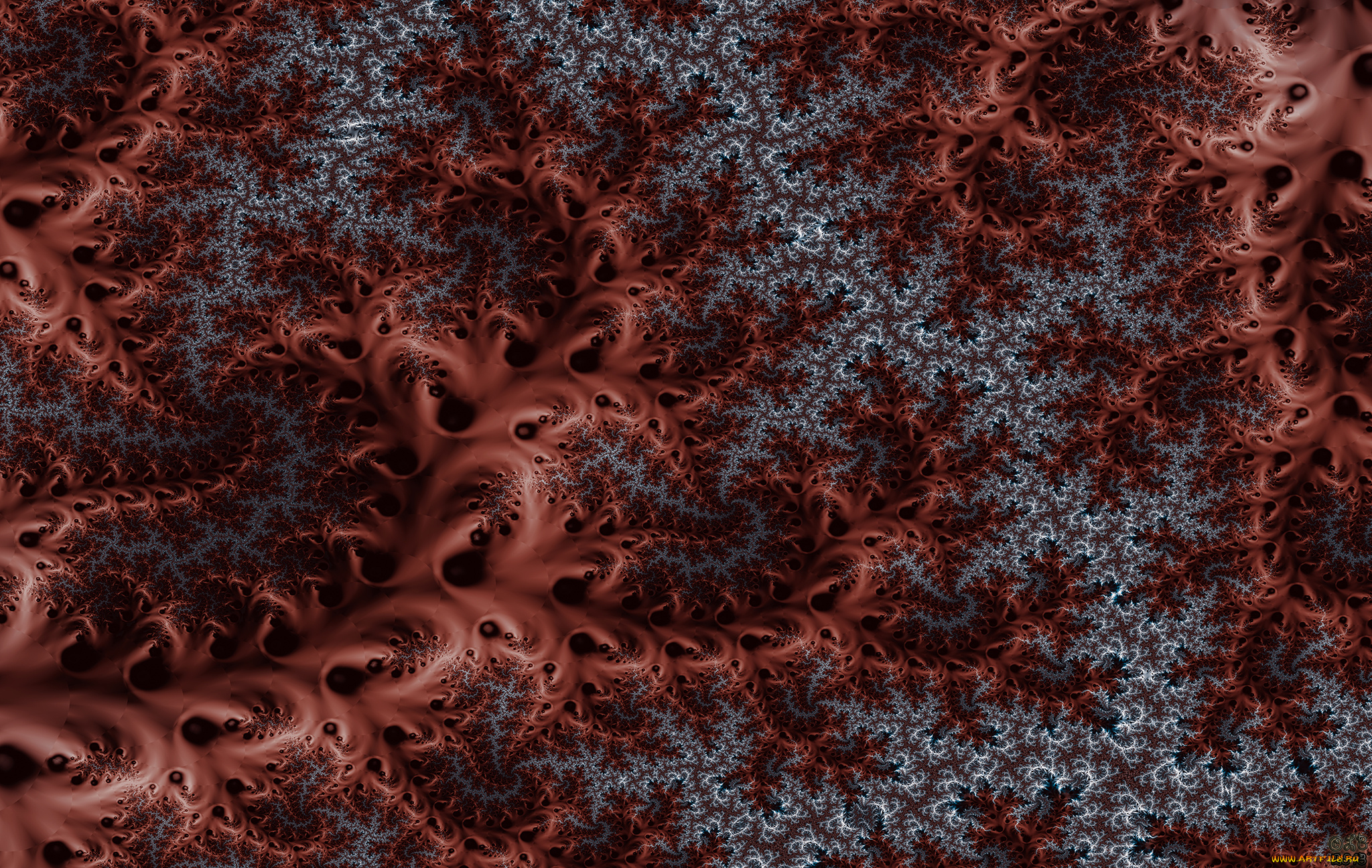 3д, графика, fractal, фракталы, цвета, узор, фон