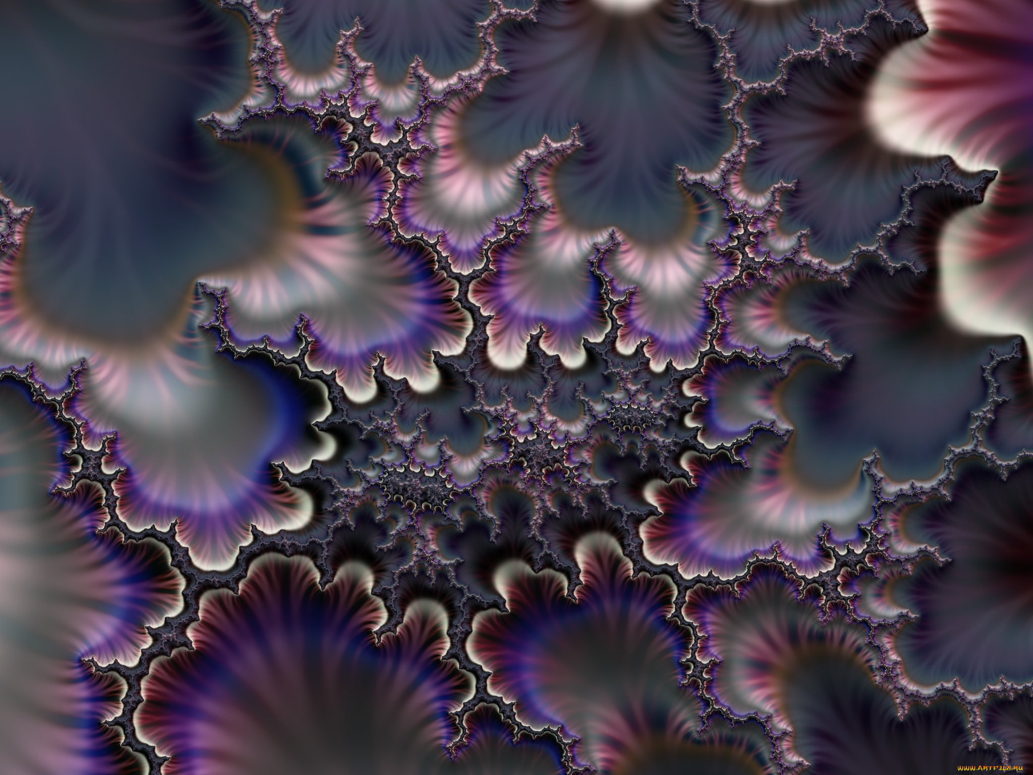 3д, графика, fractal, фракталы, цвета, фон, узор