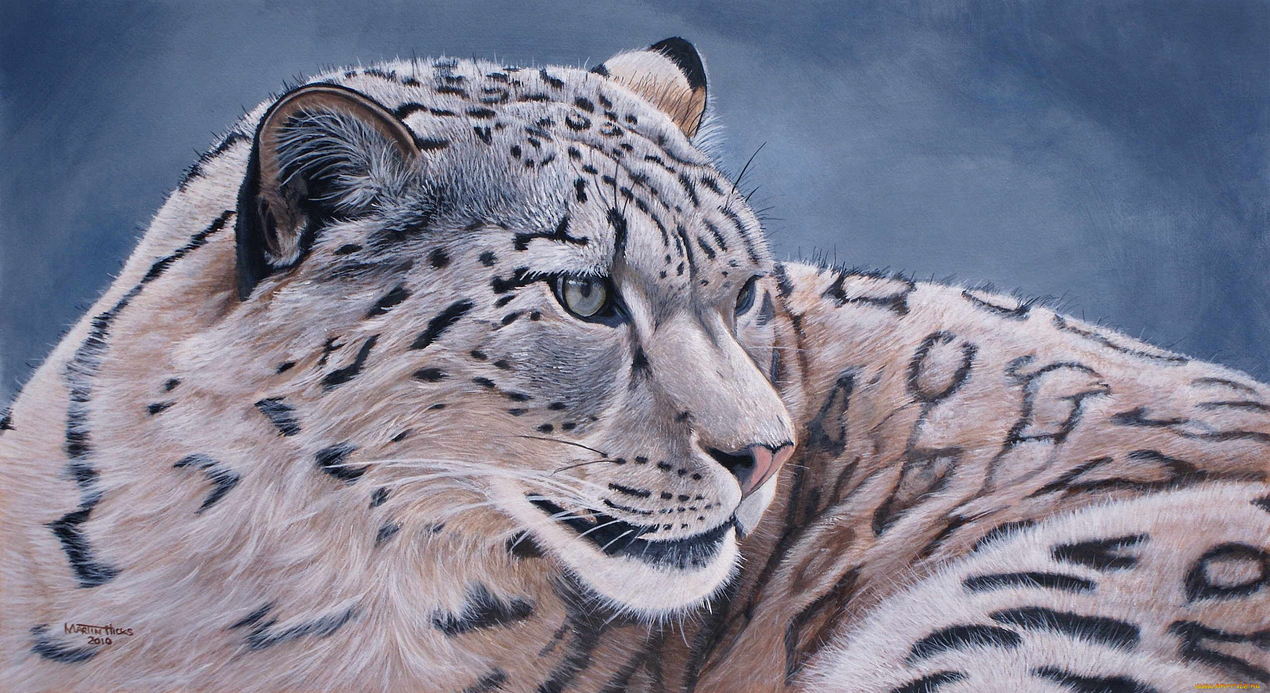 рисованные, животные, барсы, ирбис, снежный, леопард, барс