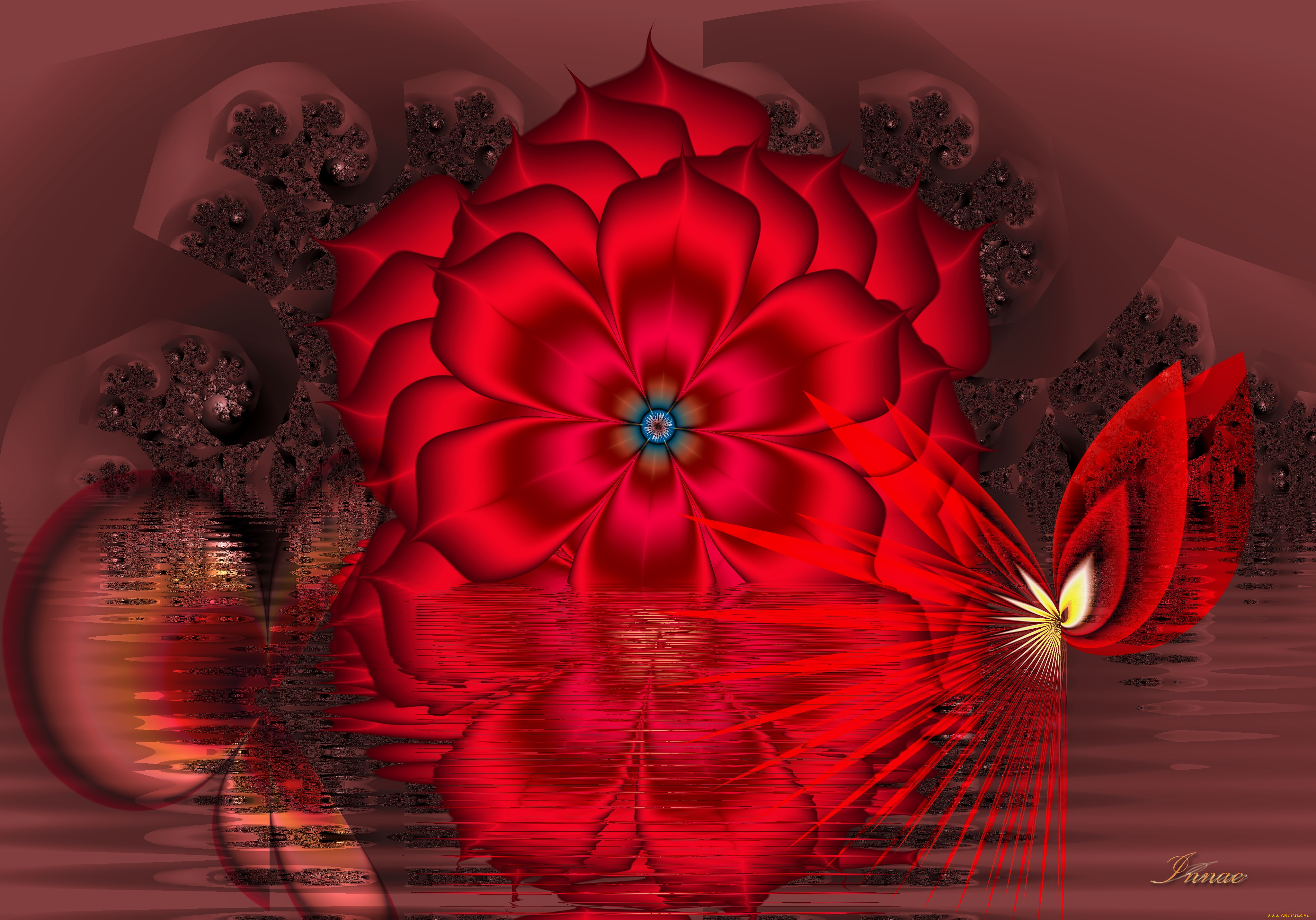 3д, графика, fractal, фракталы, фон, цвета, узор