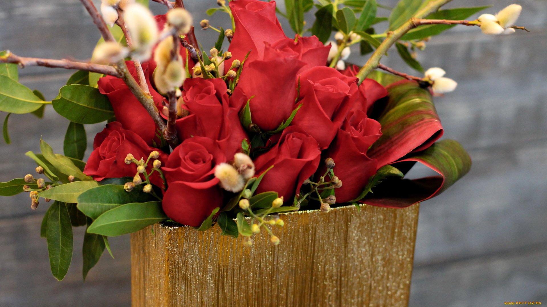 цветы, розы, красные