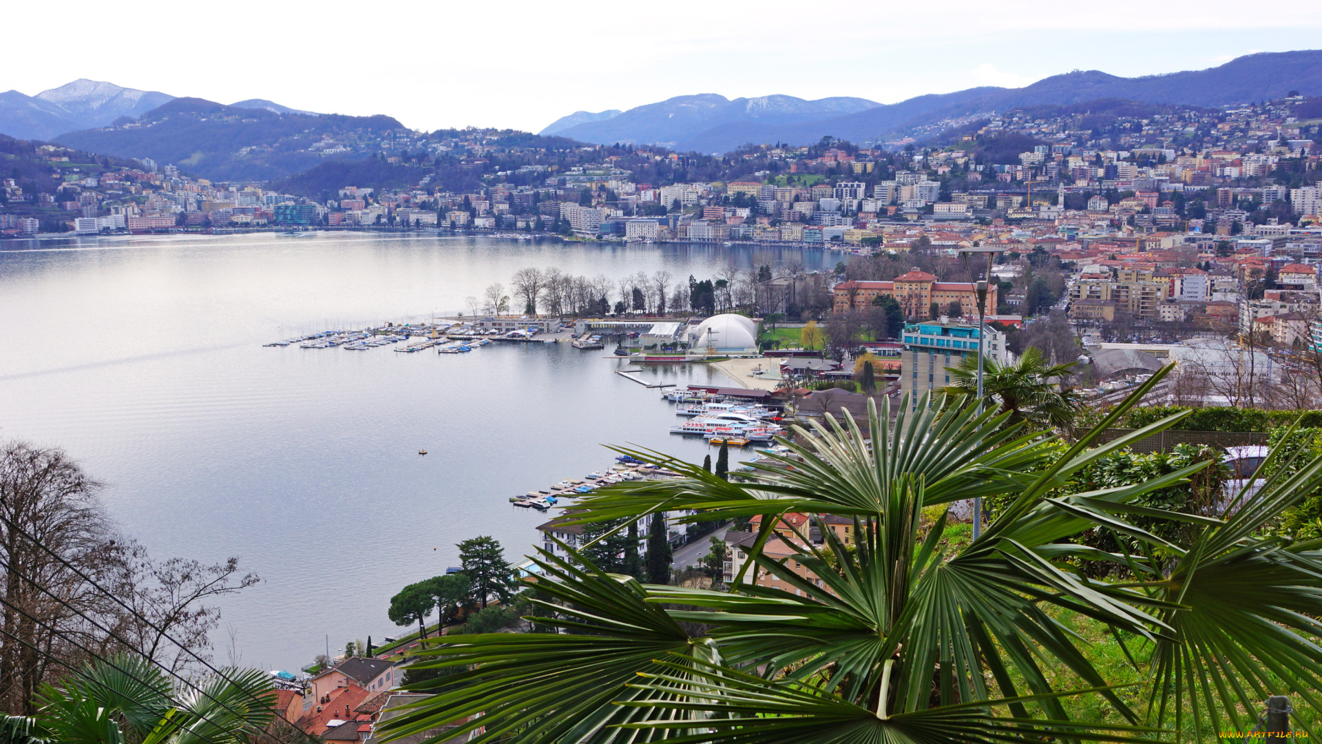 лугано, швейцария, города, -, панорамы, деревья, озеро, лугано, швейцария, дома