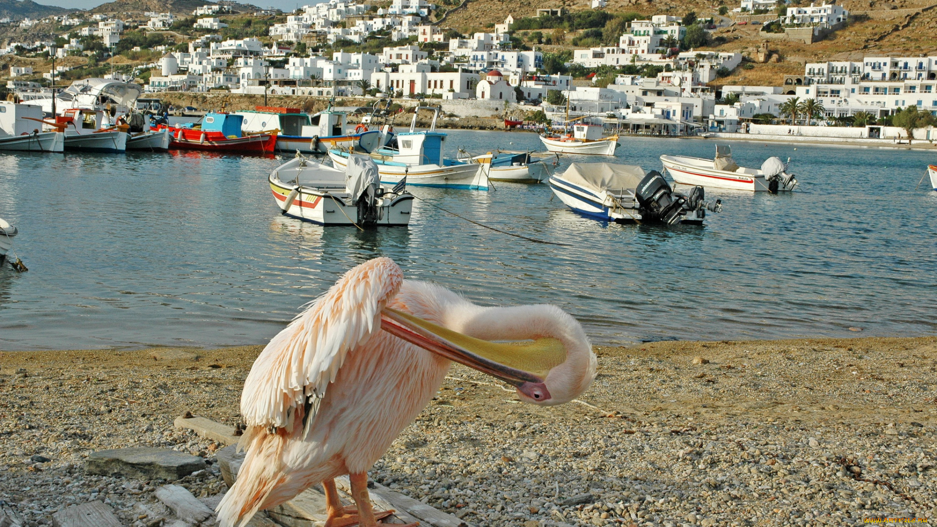миконос, греция, города, -, улицы, , площади, , набережные, mykonos, залив, дома, greece