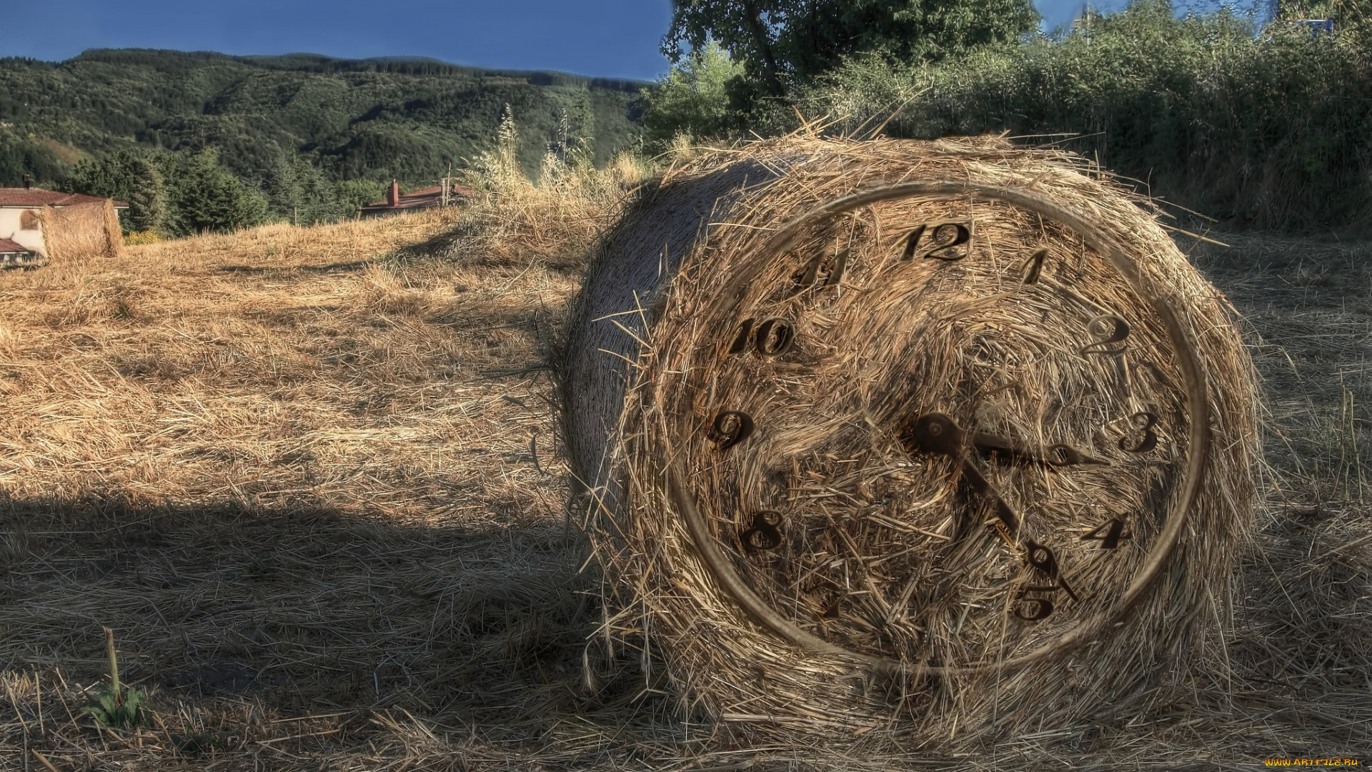 разное, компьютерный, дизайн, поле, сено, валок, циферблат