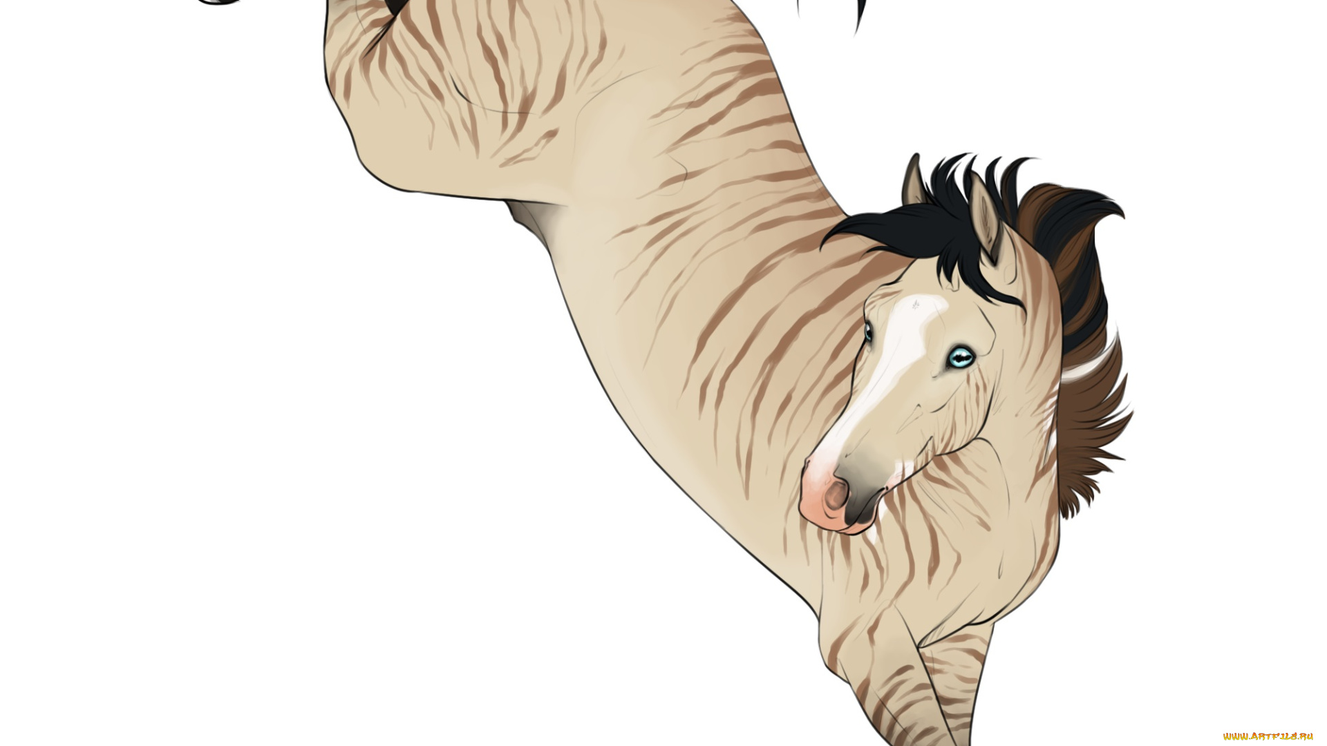 рисованные, животные, , лошади, лошадь