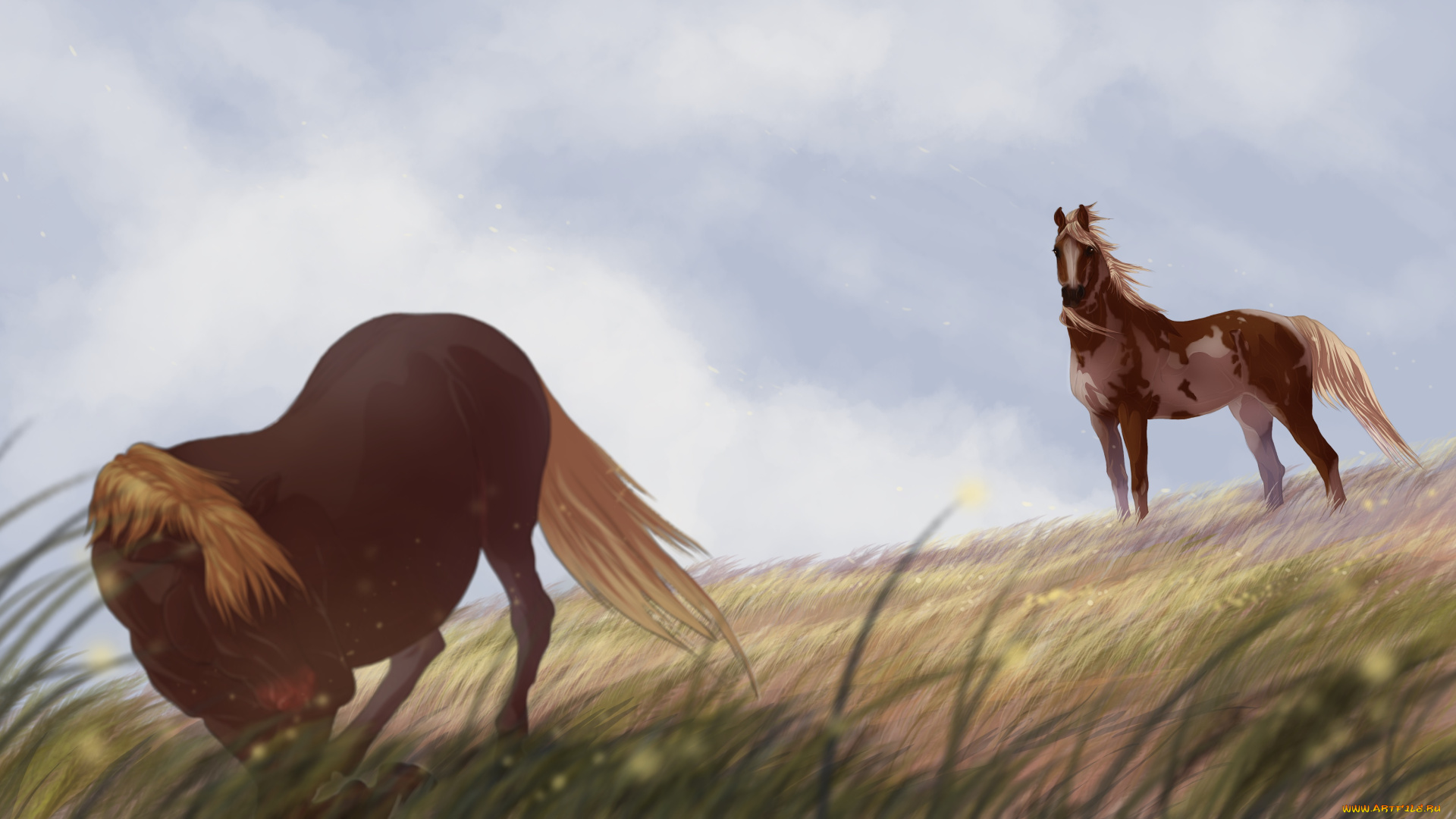 рисованные, животные, , лошади, лошади