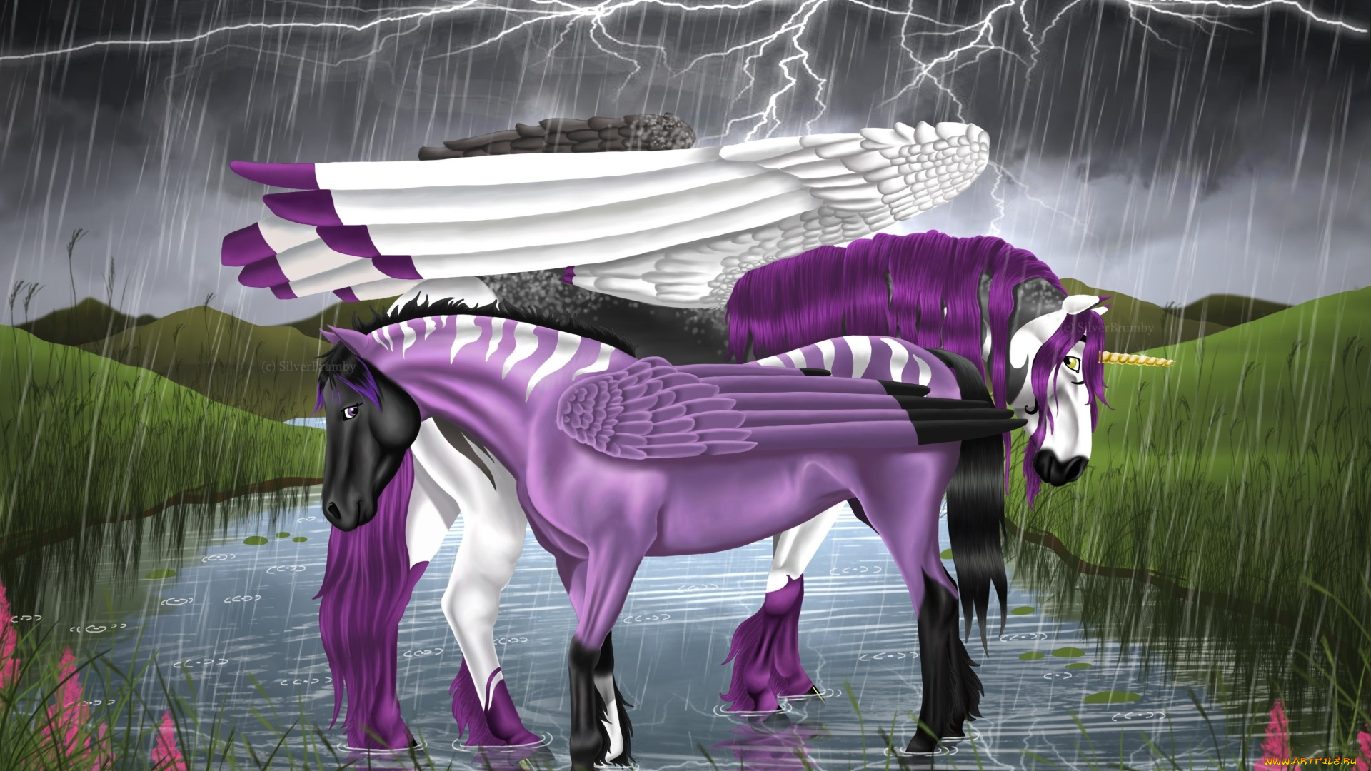 рисованные, животные, , сказочные, , мифические, пегасы