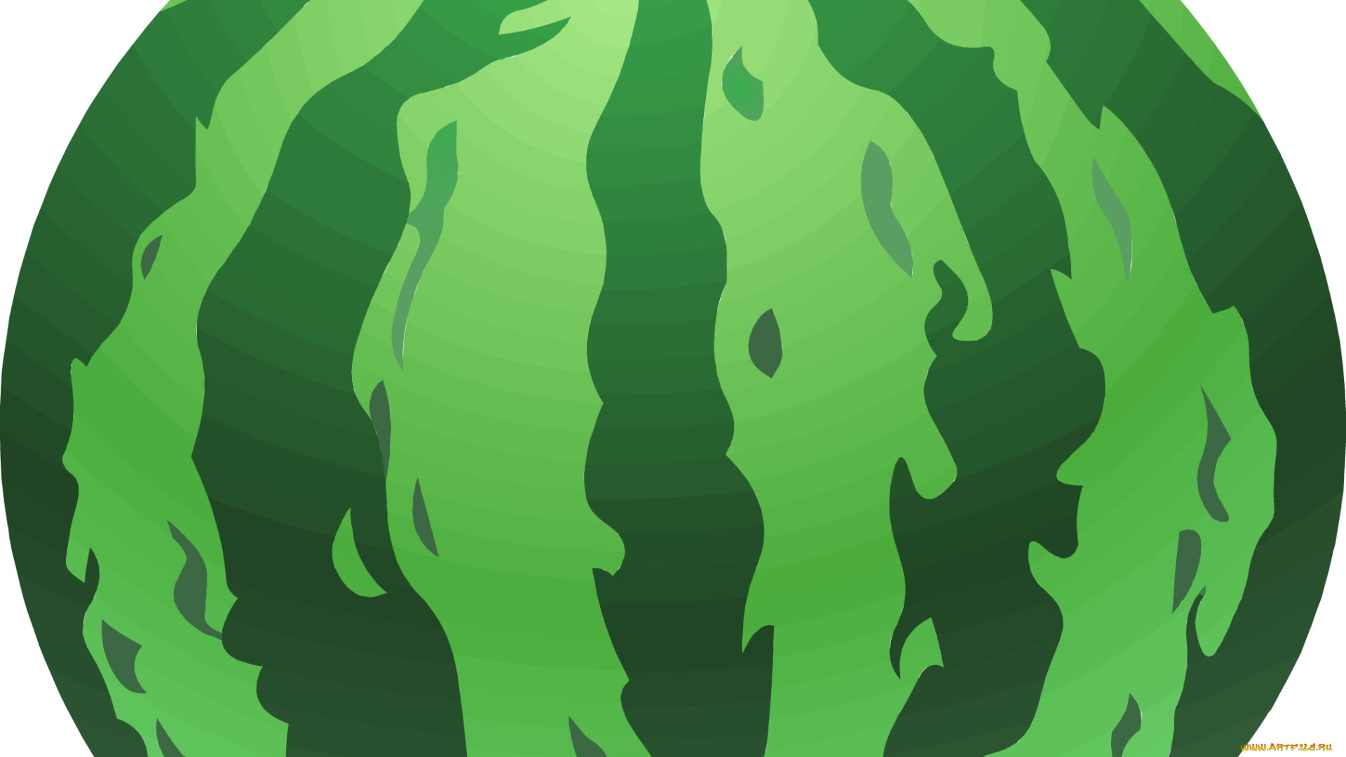 векторная, графика, еда, арбуз