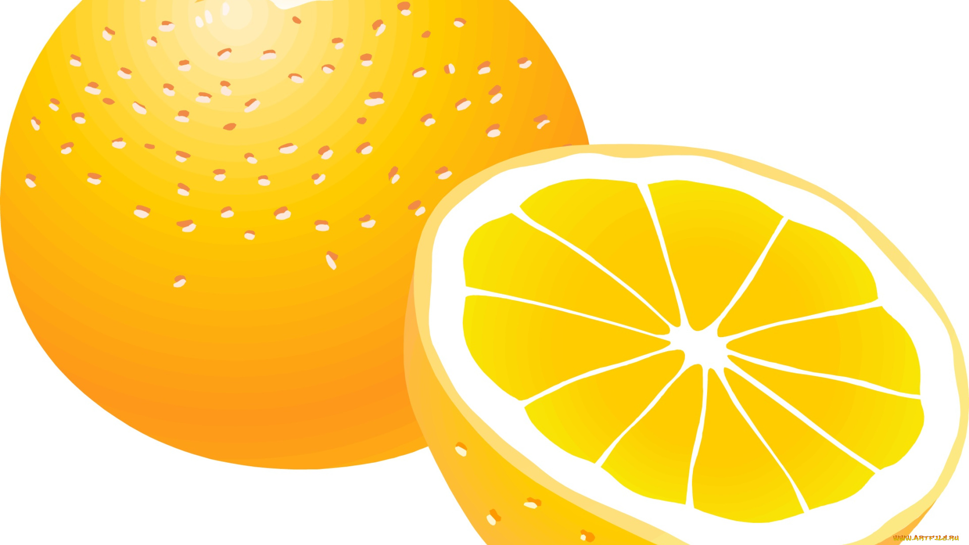 векторная, графика, еда, фон, апельсины