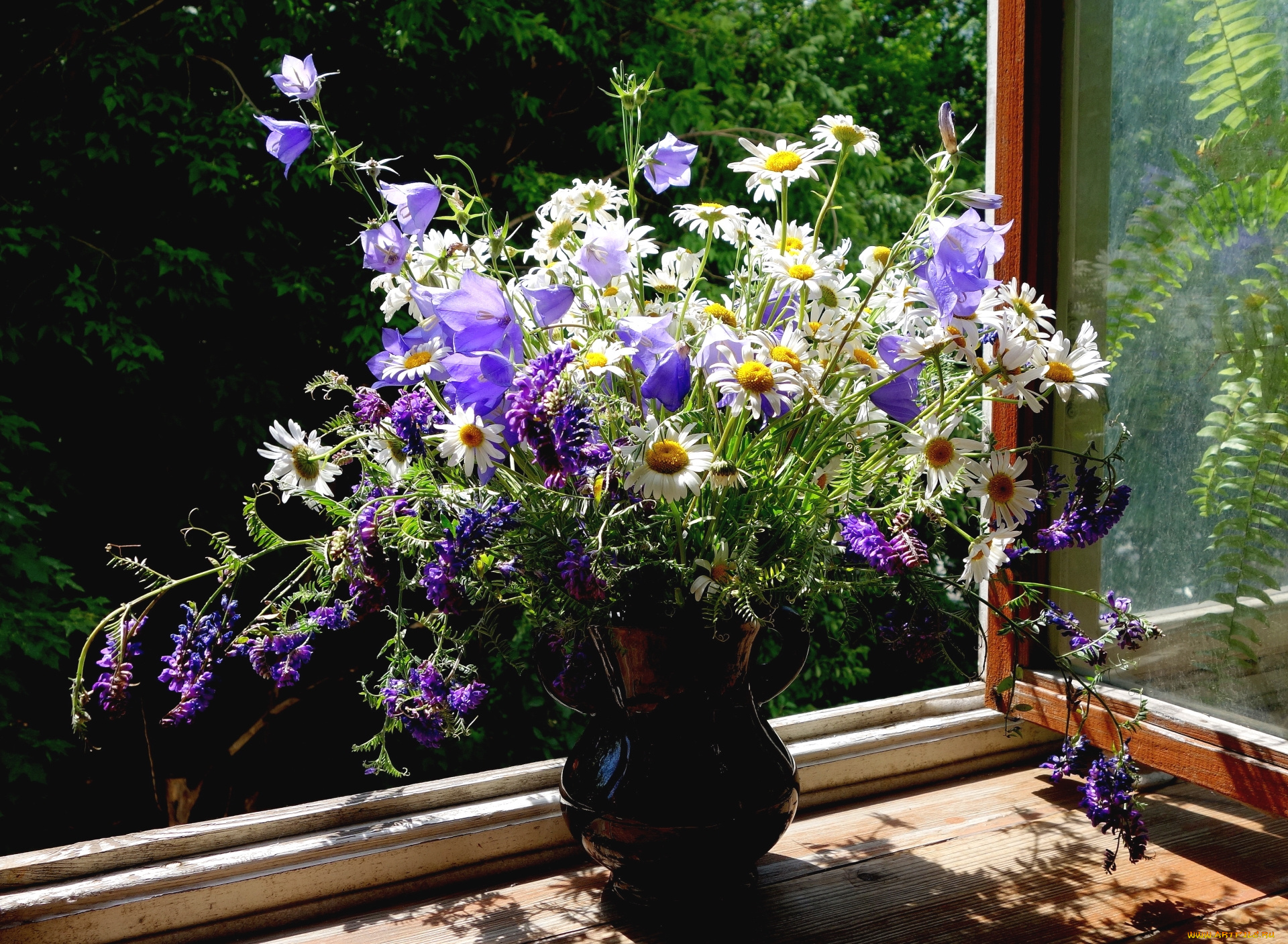цветы, луговые, , полевые, , цветы, колокольчики, ромашки