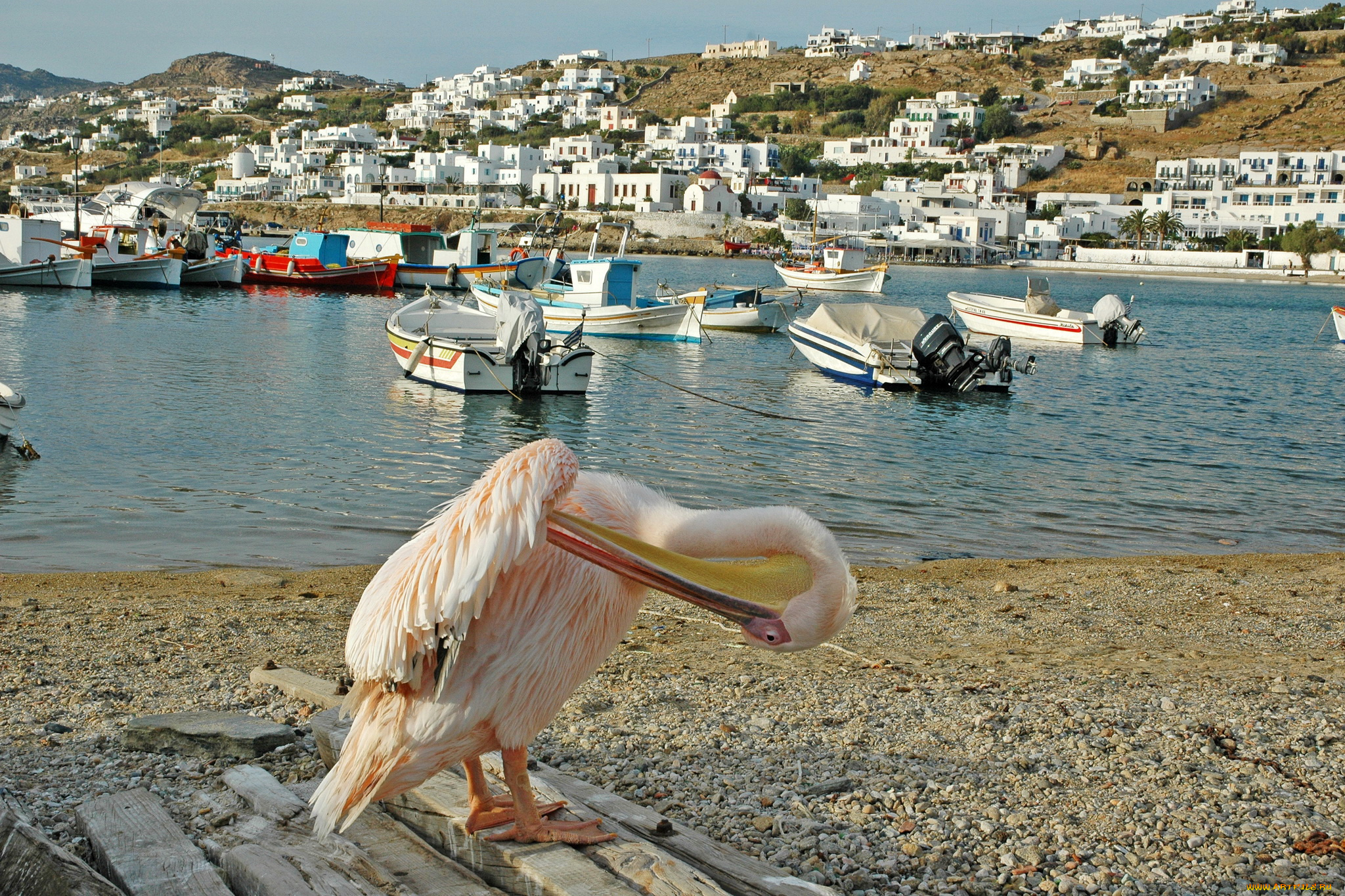миконос, греция, города, -, улицы, , площади, , набережные, mykonos, залив, дома, greece