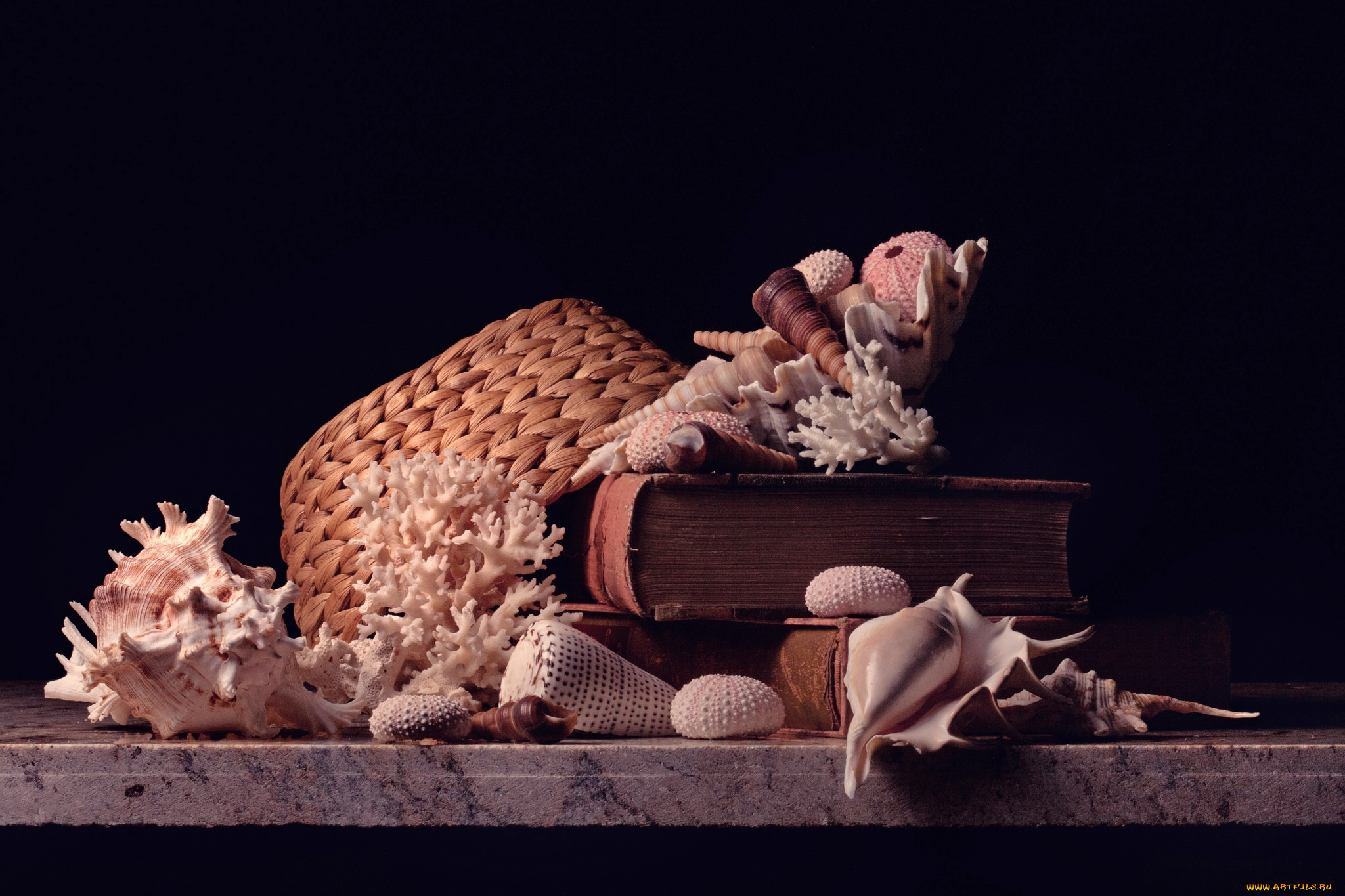 разное, ракушки, , кораллы, , декоративные, и, spa-камни, corals, shells, hat, книги, шляпа, кораллы, books