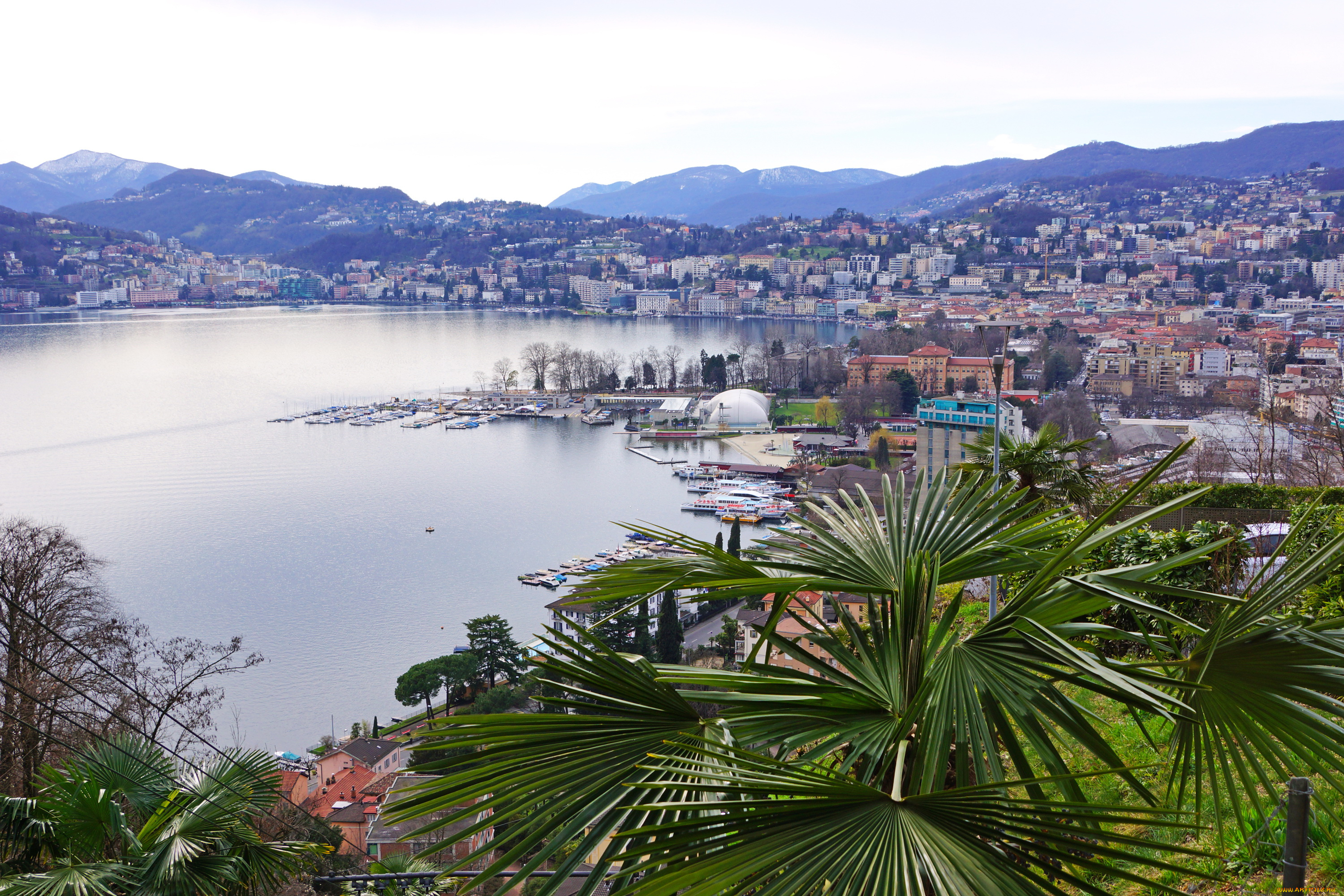 лугано, швейцария, города, -, панорамы, деревья, озеро, лугано, швейцария, дома