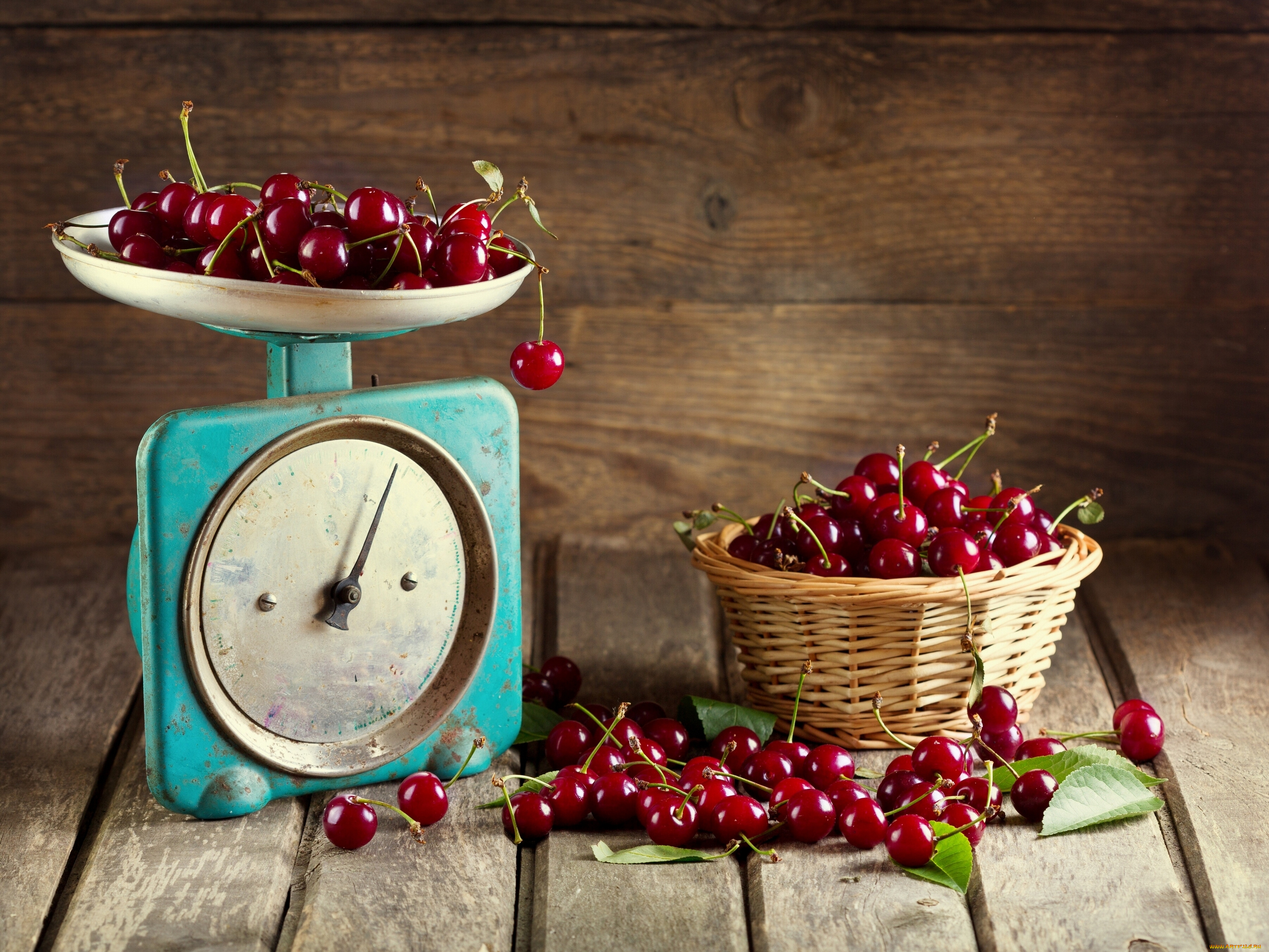 еда, вишня, , черешня, корзинка, ягоды, весы
