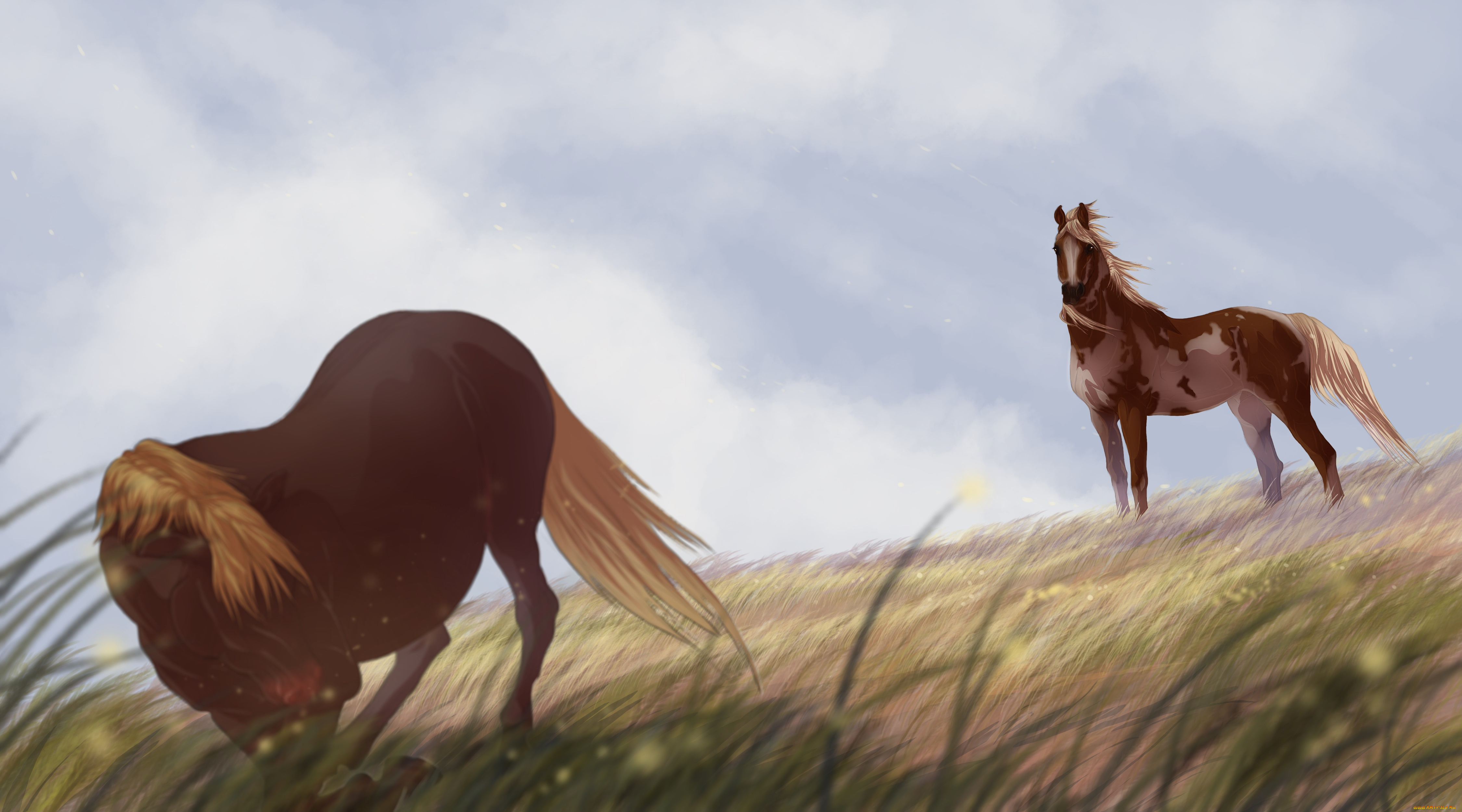 рисованные, животные, , лошади, лошади