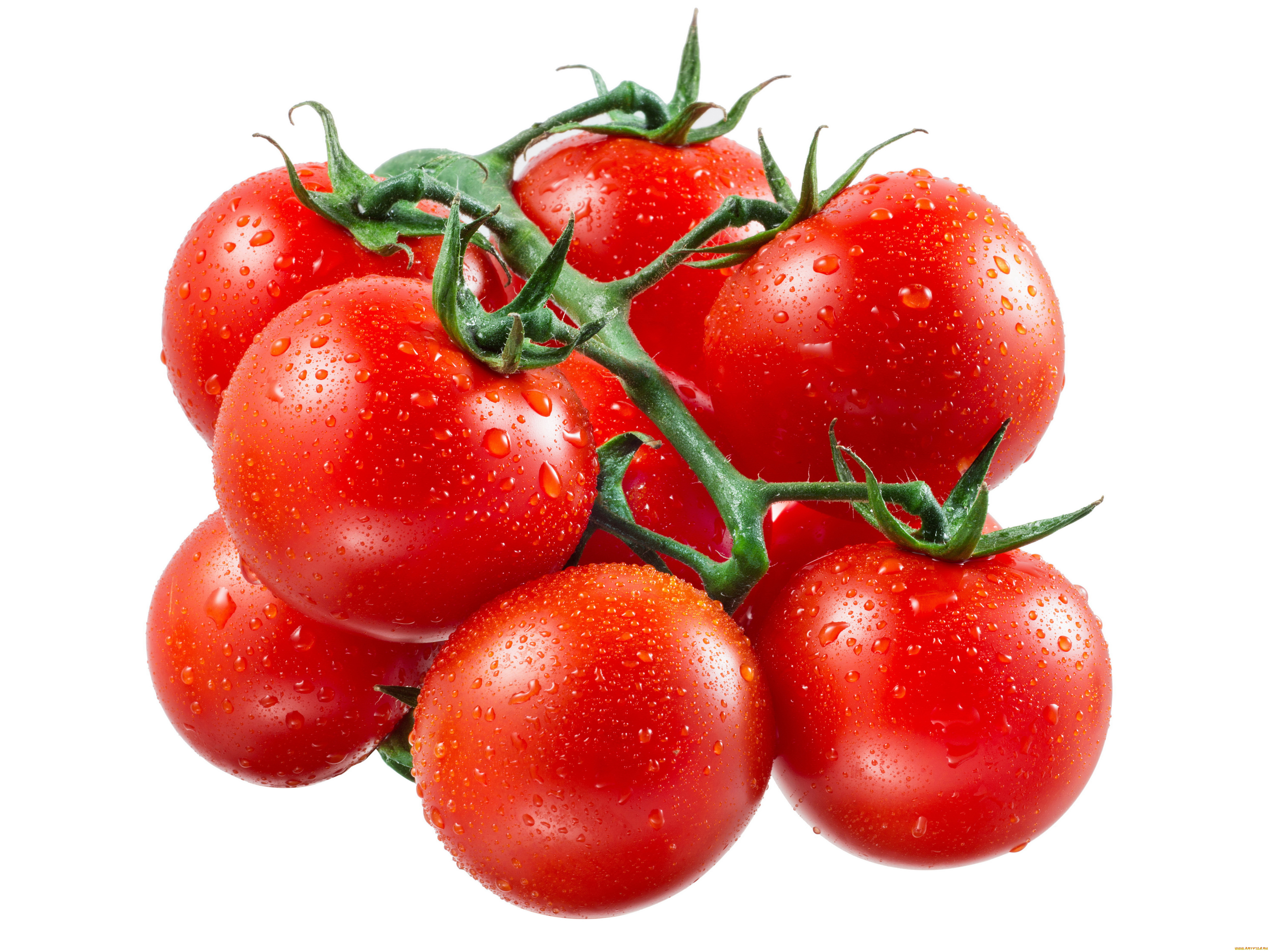 еда, помидоры, много