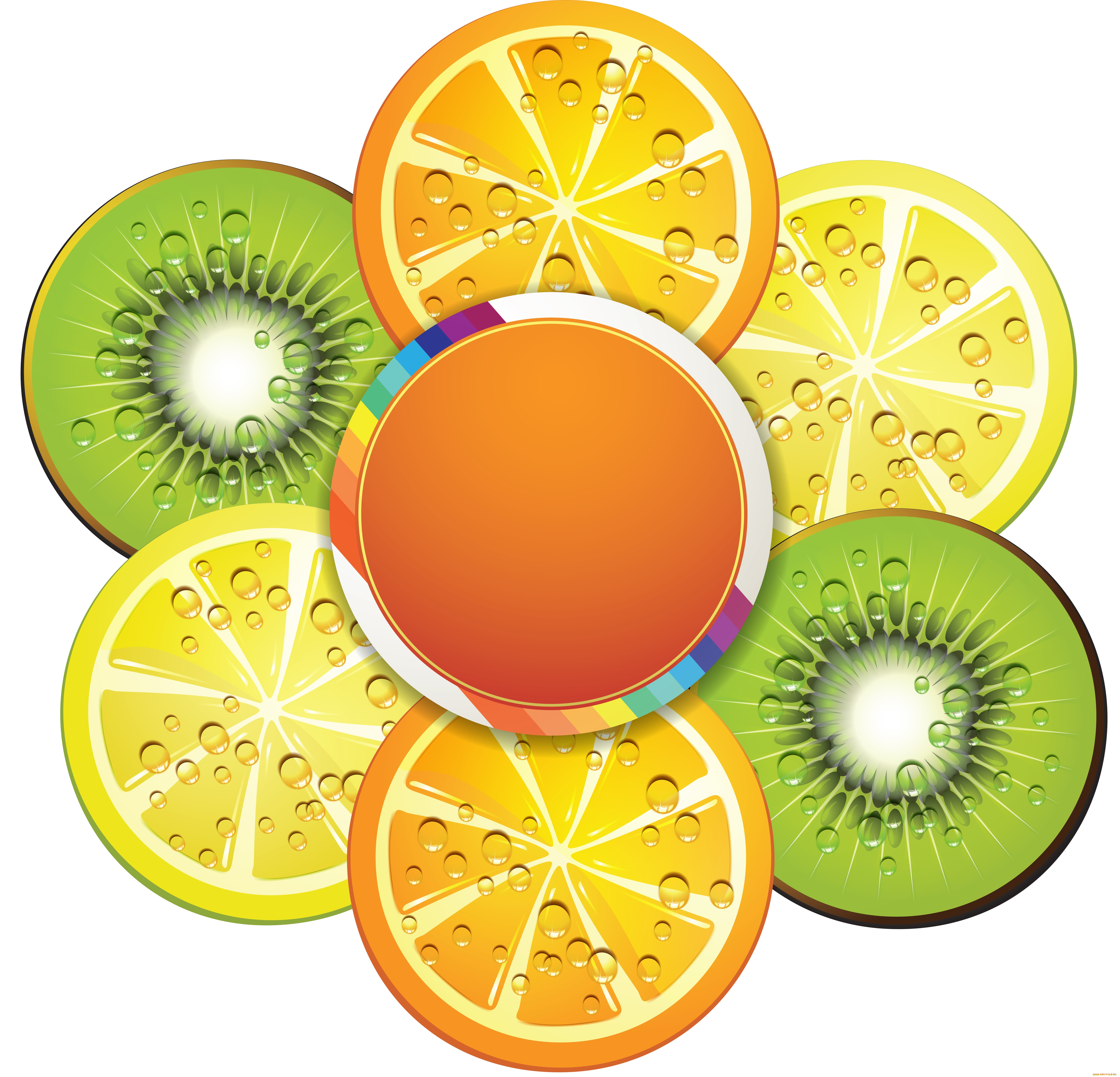 векторная, графика, еда, цитрусы