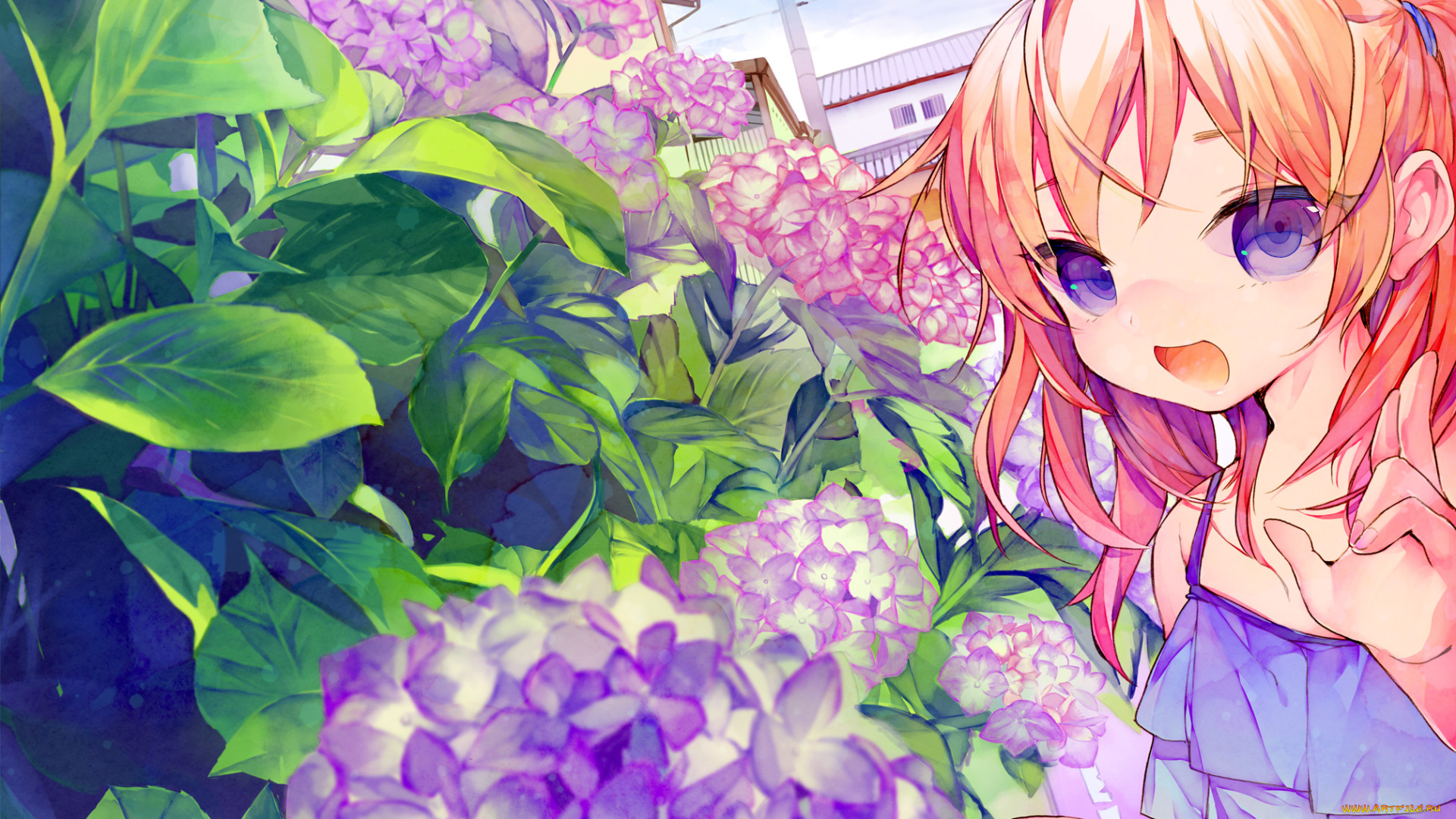 аниме, unknown, , другое, гортензия, улыбка, цветы, арт, девочка, взгляд, ave