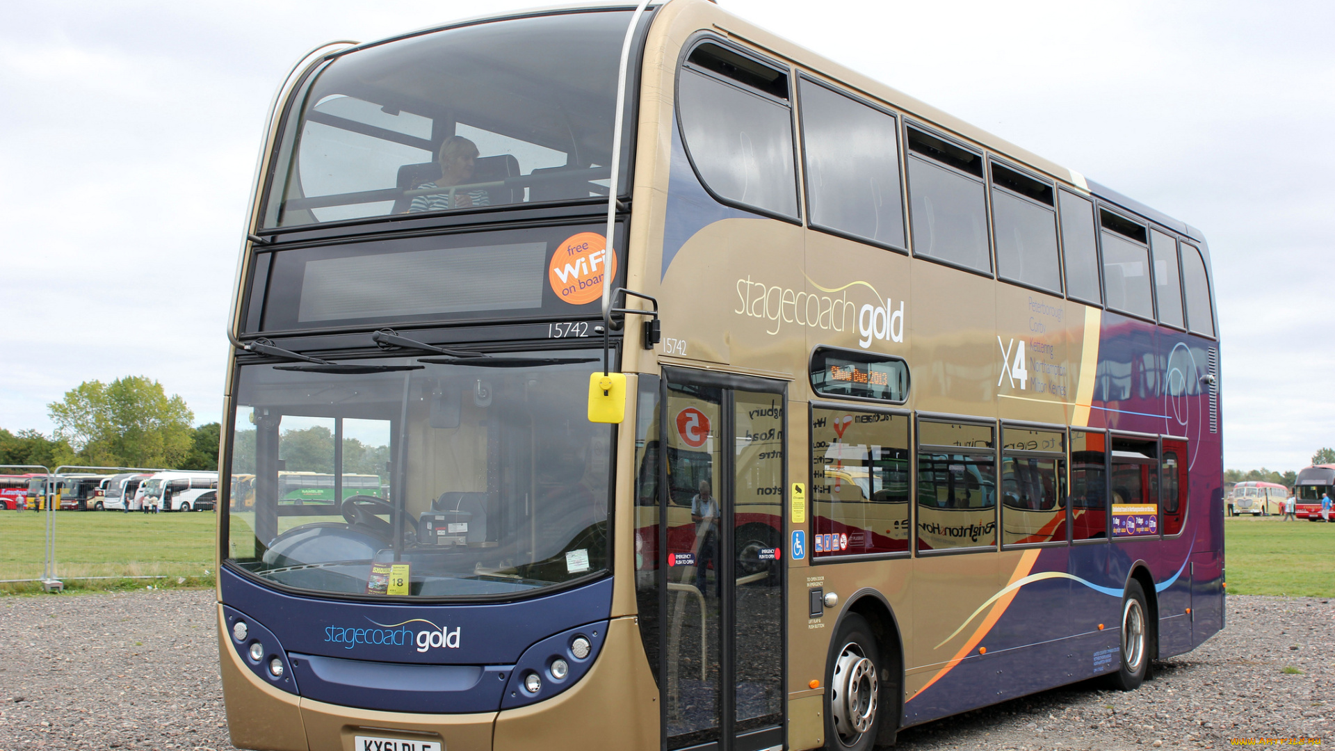 автомобили, автобусы, транспорт, пассажирский