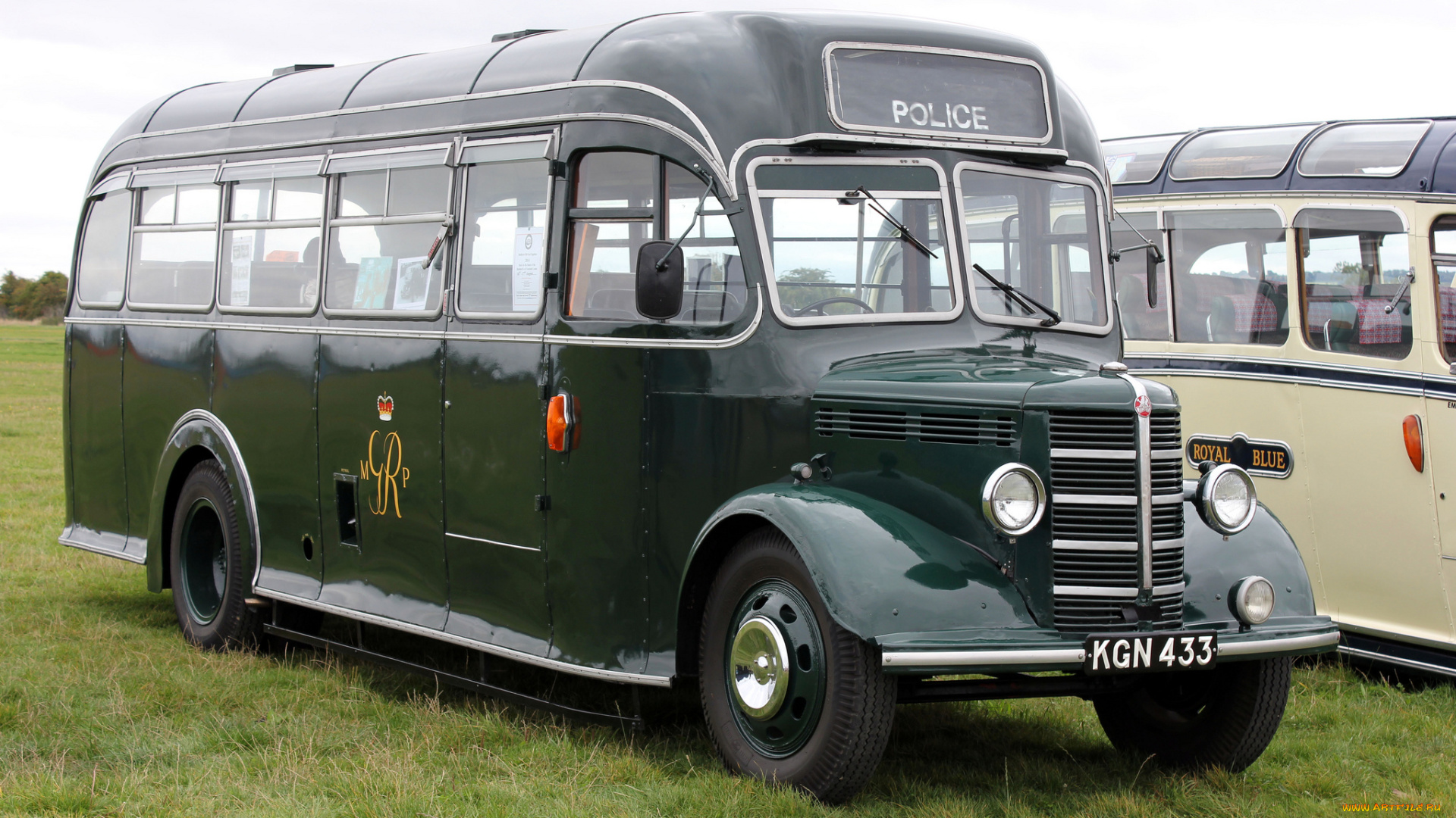 автомобили, автобусы, транспорт, пассажирский